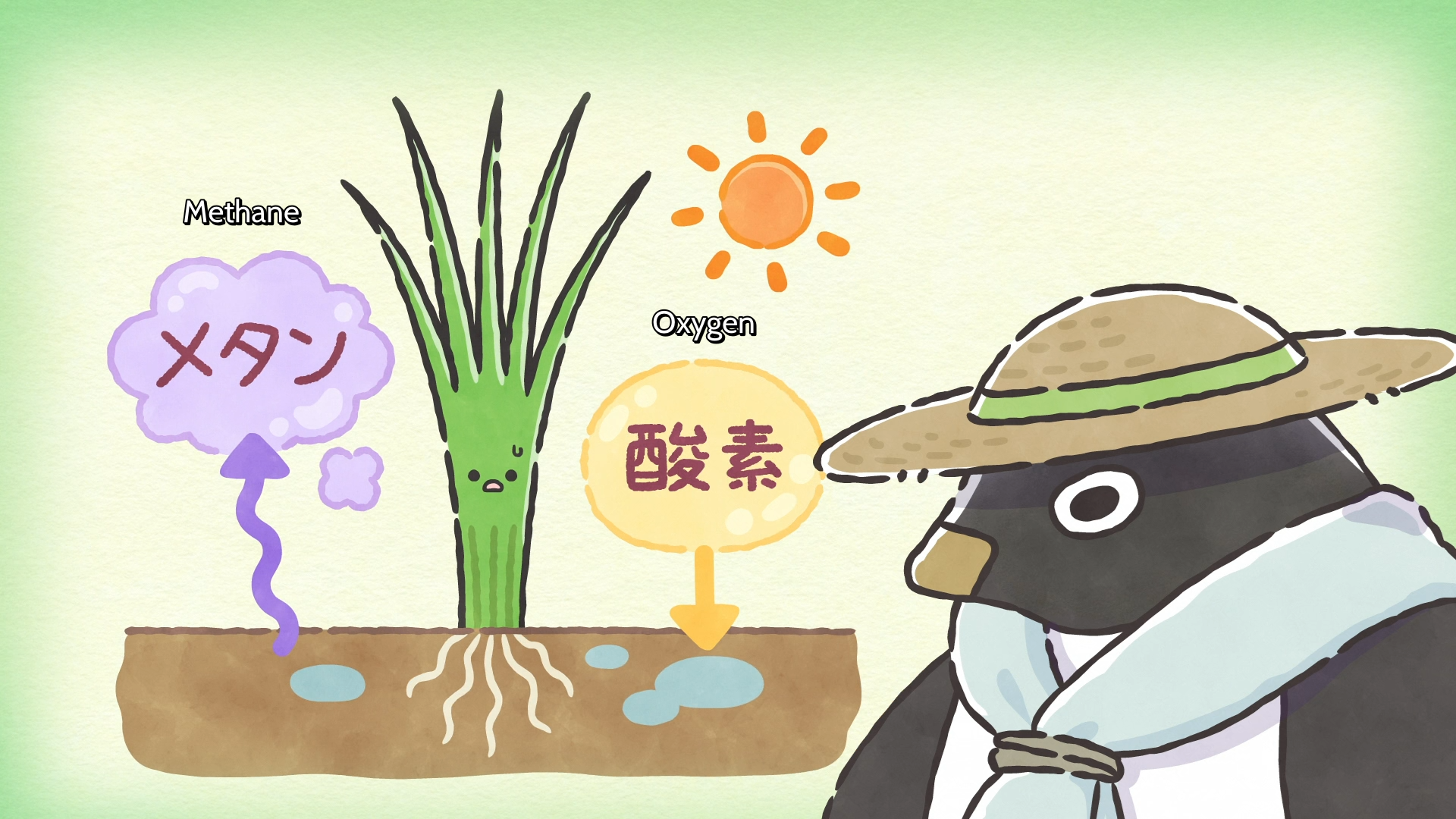 ep 66 2.png