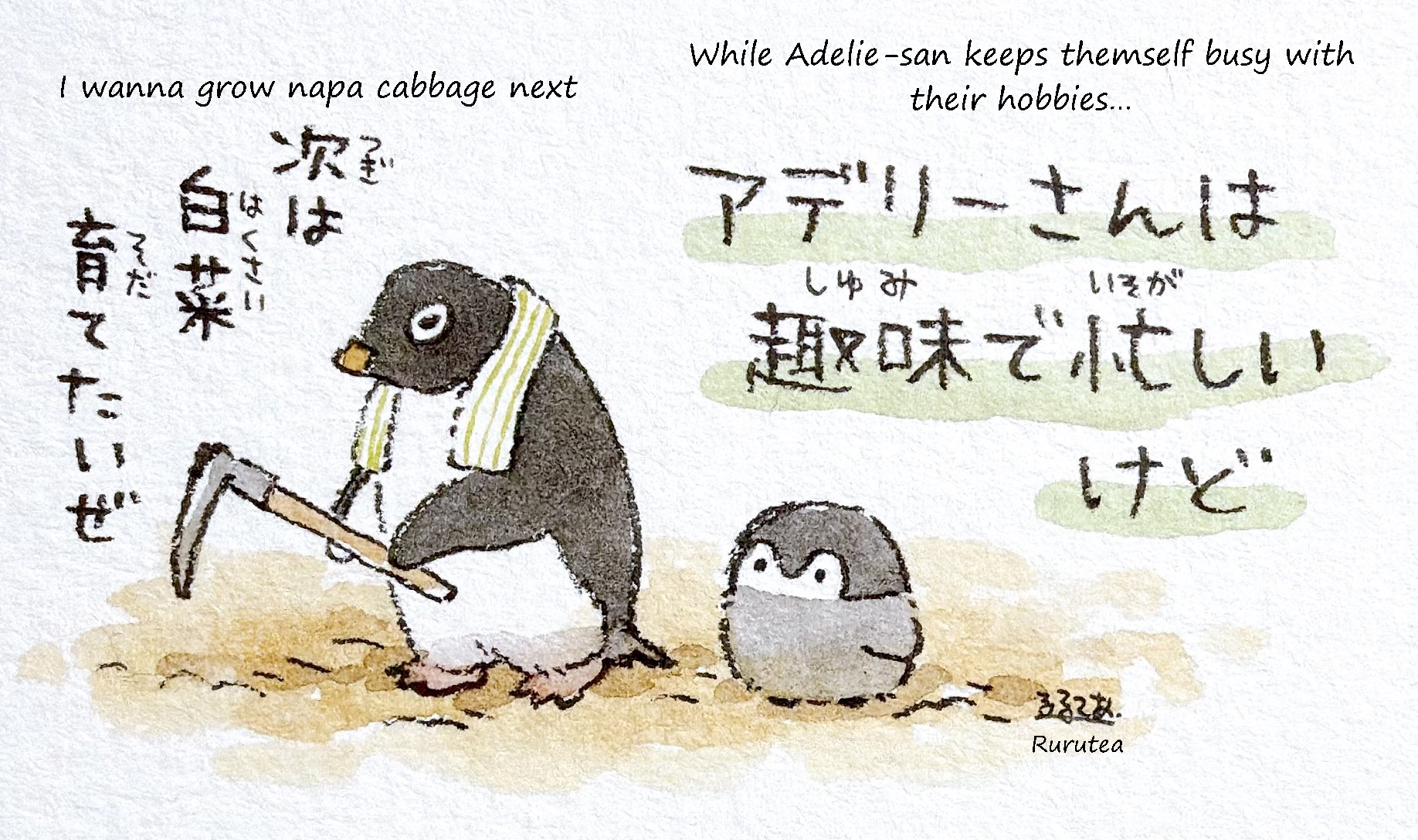  While Adelie-san keeps themself busy with their hobbies…   Adelie-san:  I wanna grow Napa cabbage next 