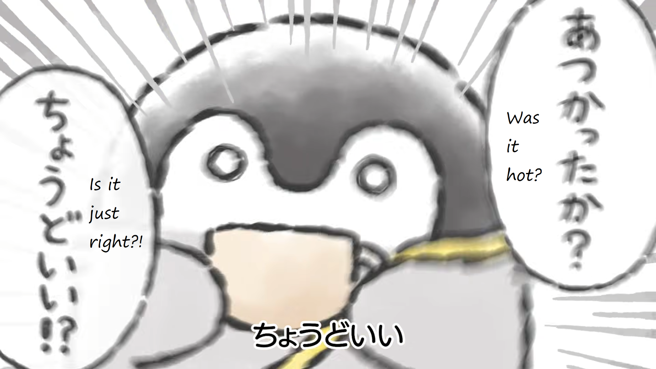 11.png