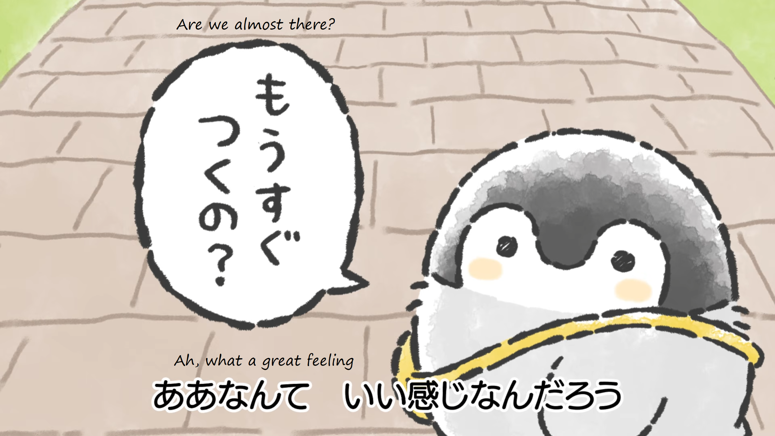 17.png