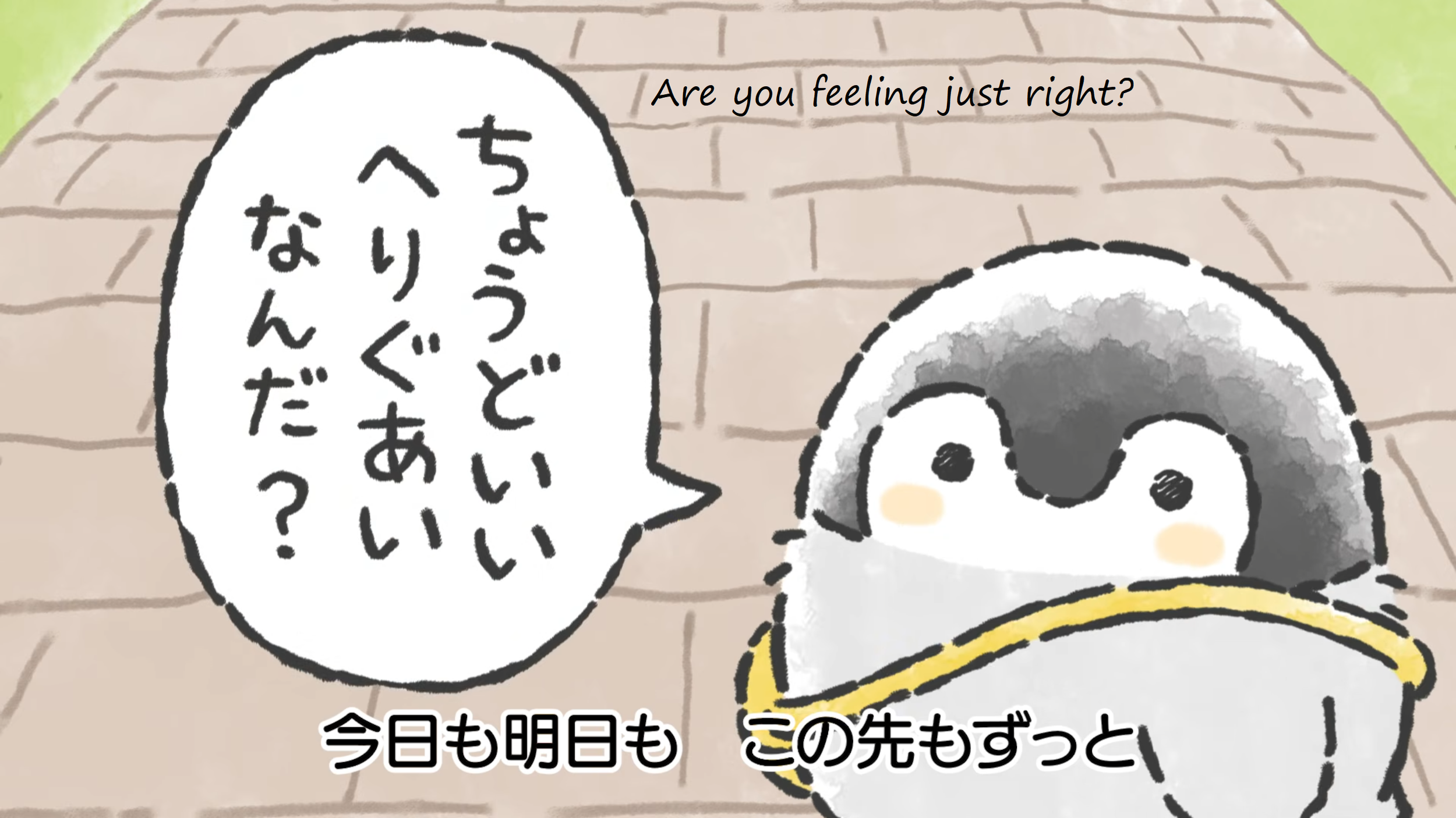 20.png