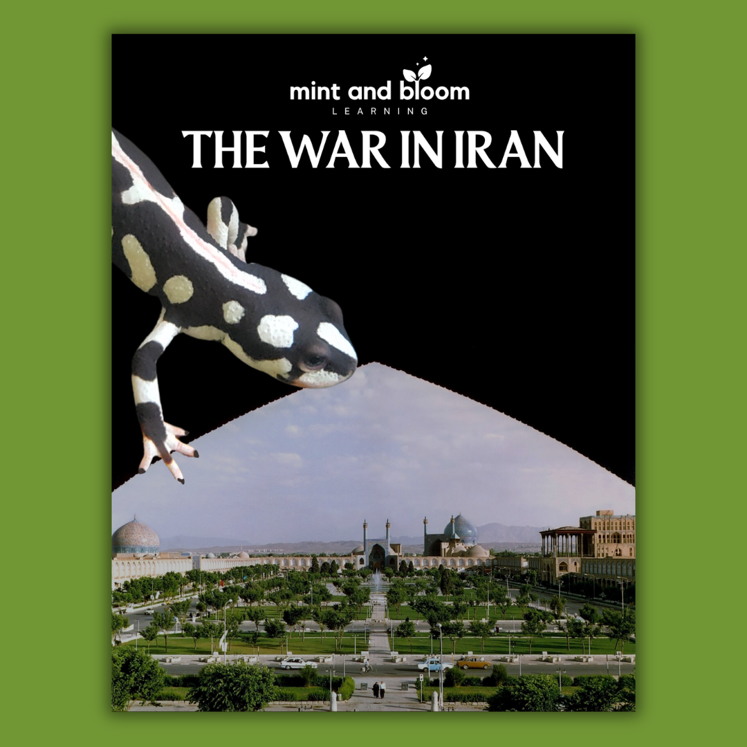 The War in Iran Workbook