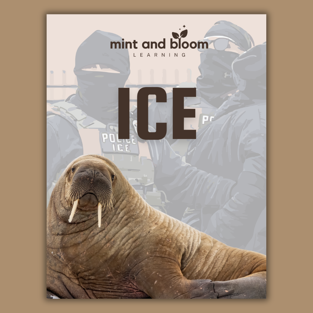 ICE Workbook