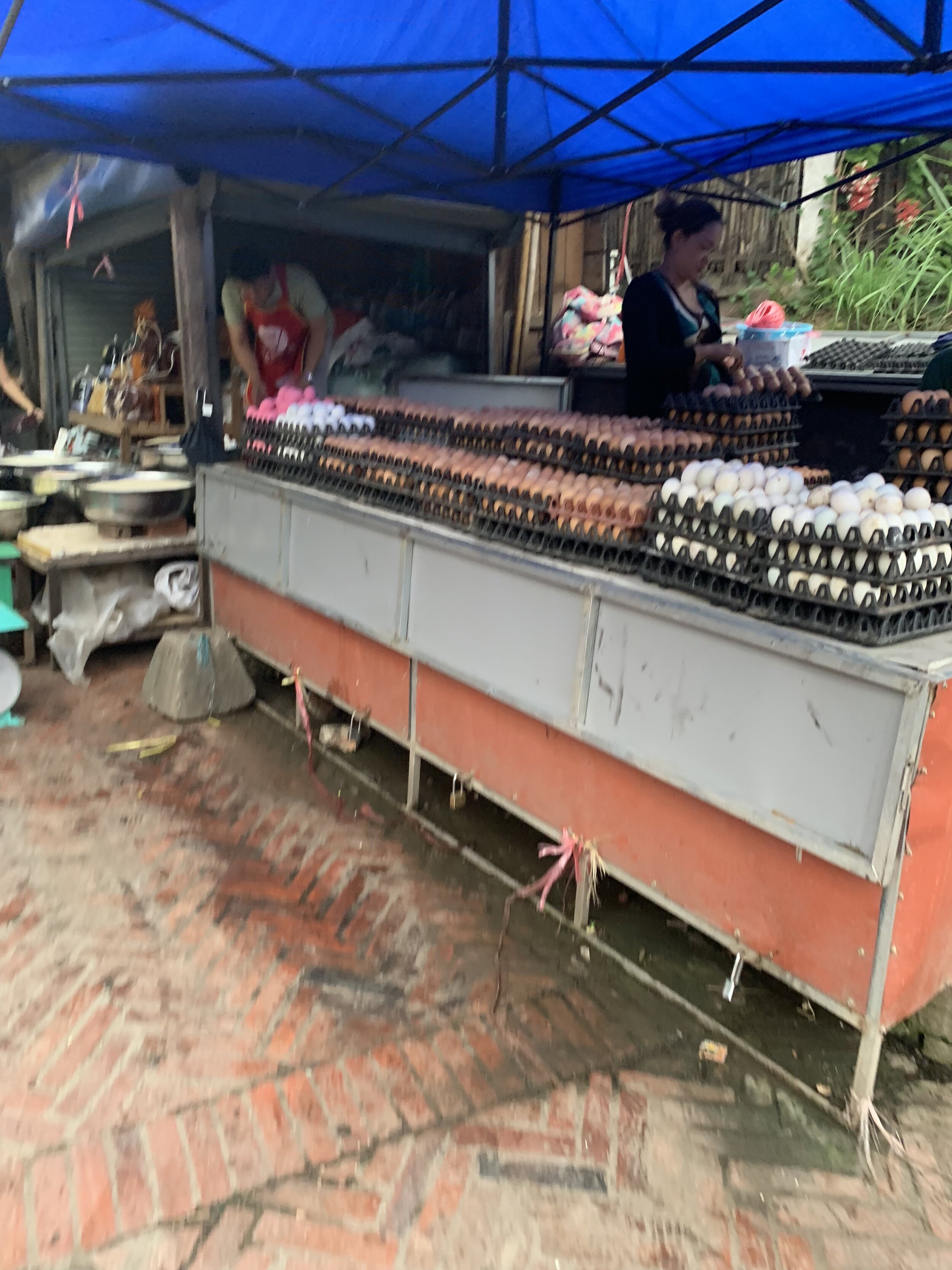 IMG_2878.jpeg