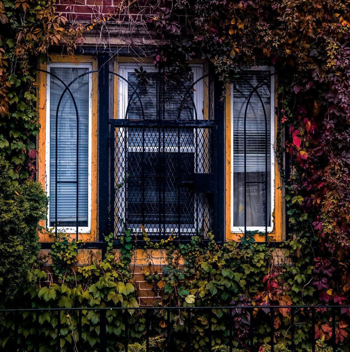 Screen Shot 2020-02-13 at 4.09.35 PM.png