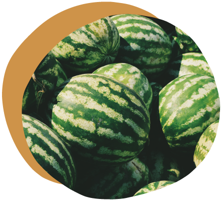 Homepage Images-01.png