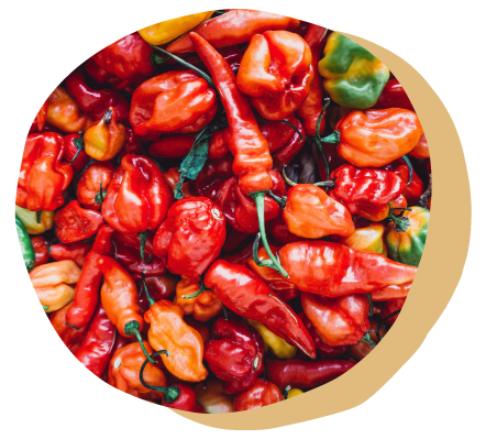 Homepage Images-03.png