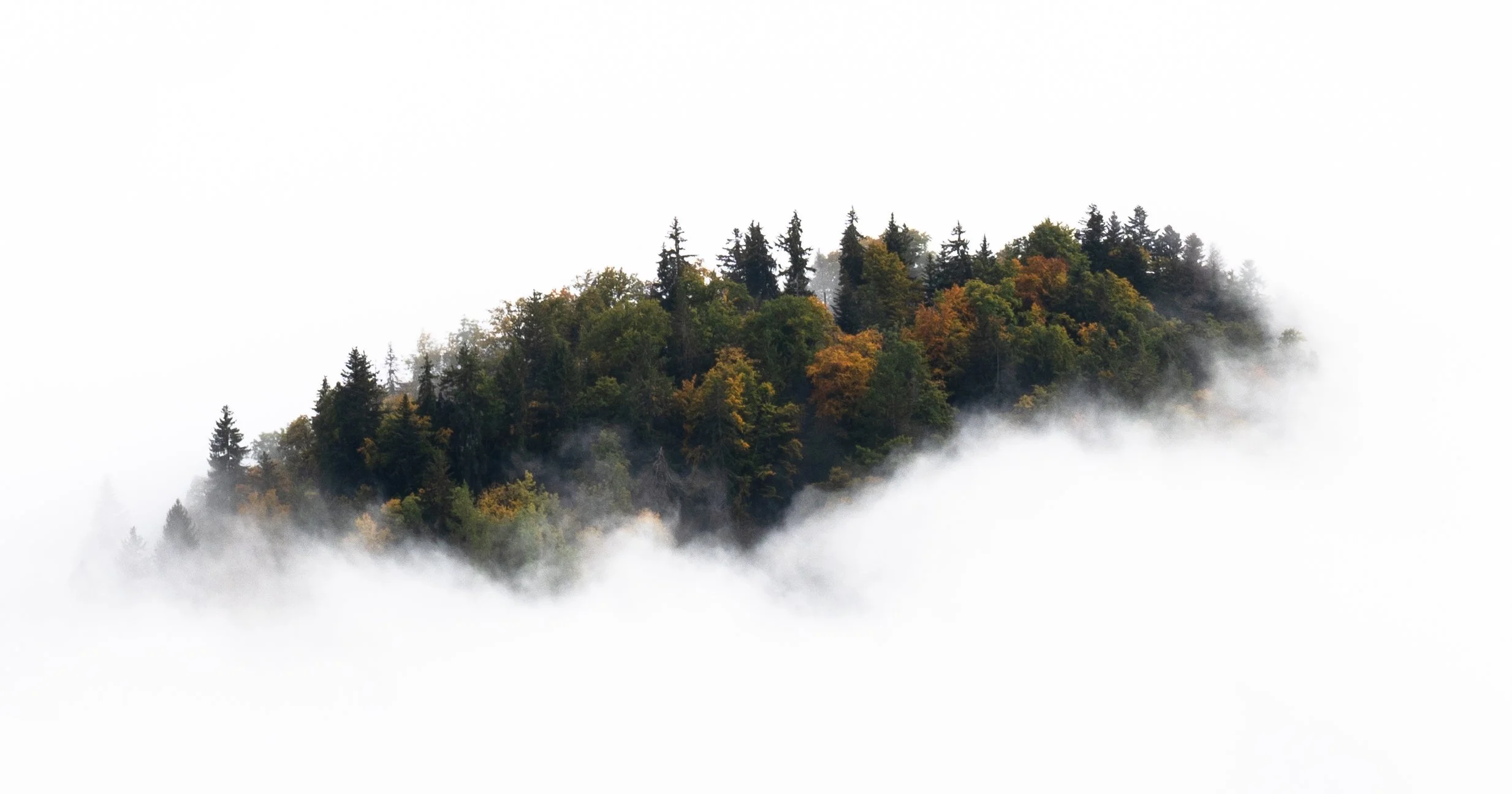 Hilltop in Leysin, Switzerland 