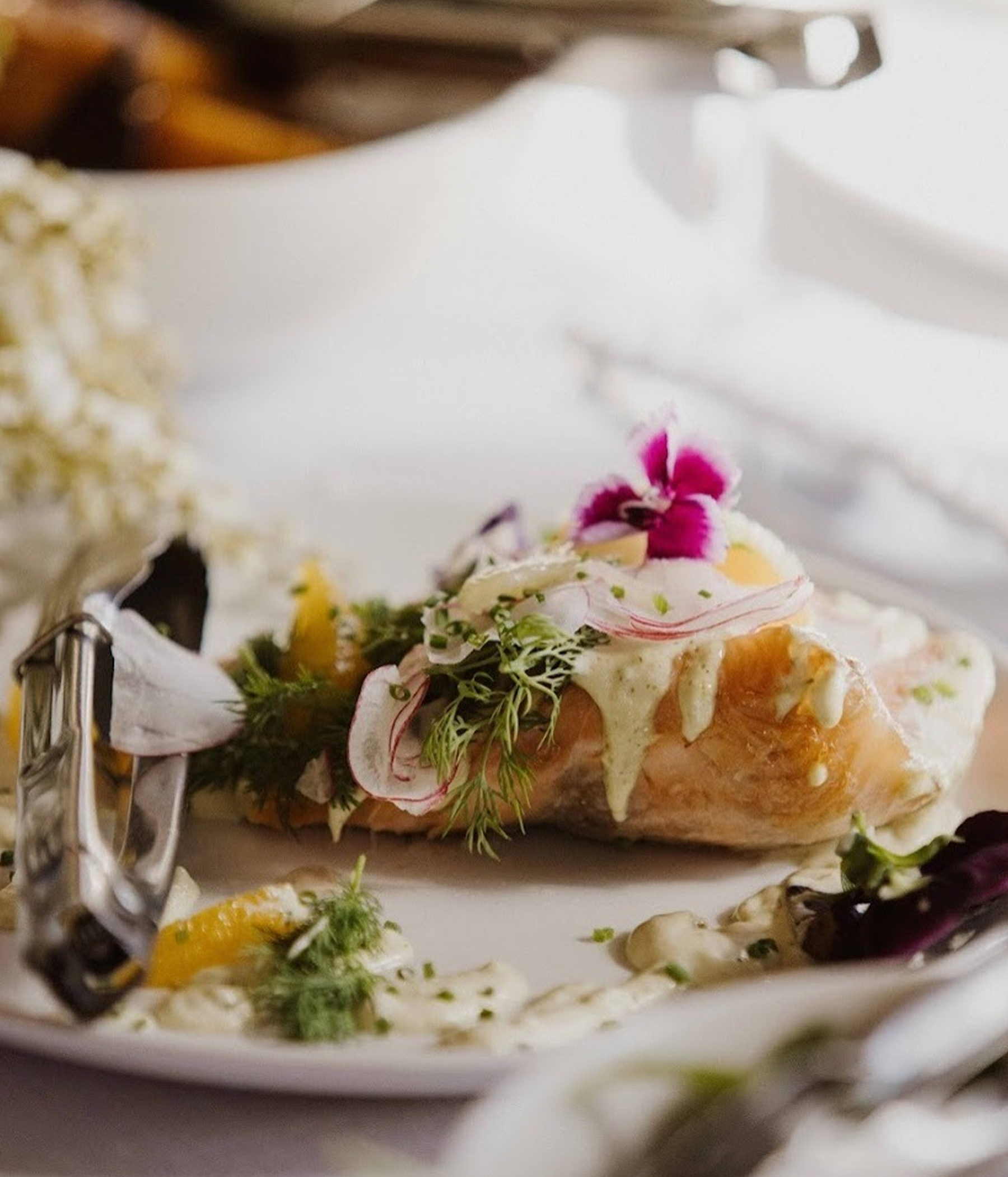 Grilled Salmon, shaved radish, chives with lemon dill aioli
