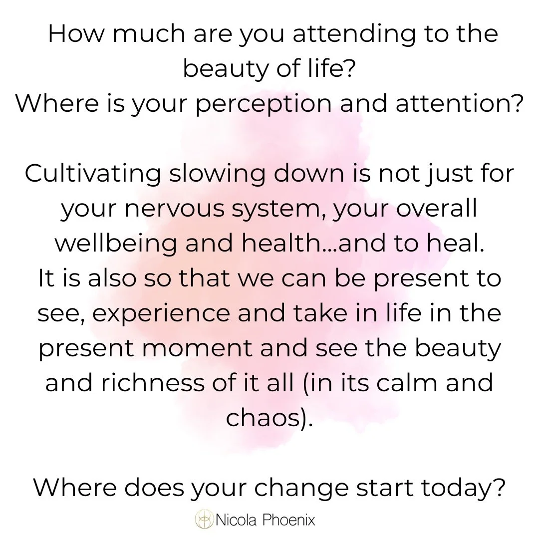 Being in the present moment isn&rsquo;t about fixing or forcing anything. It&rsquo;s about gently arriving with what is. When we slow down enough to notice the breath, the body, the quiet signals within, we begin to reconnect with our innate wisdom. 