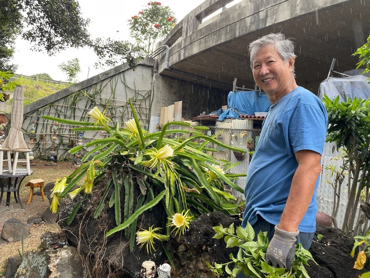 Honolulu Ceramics Studio Classes, & More