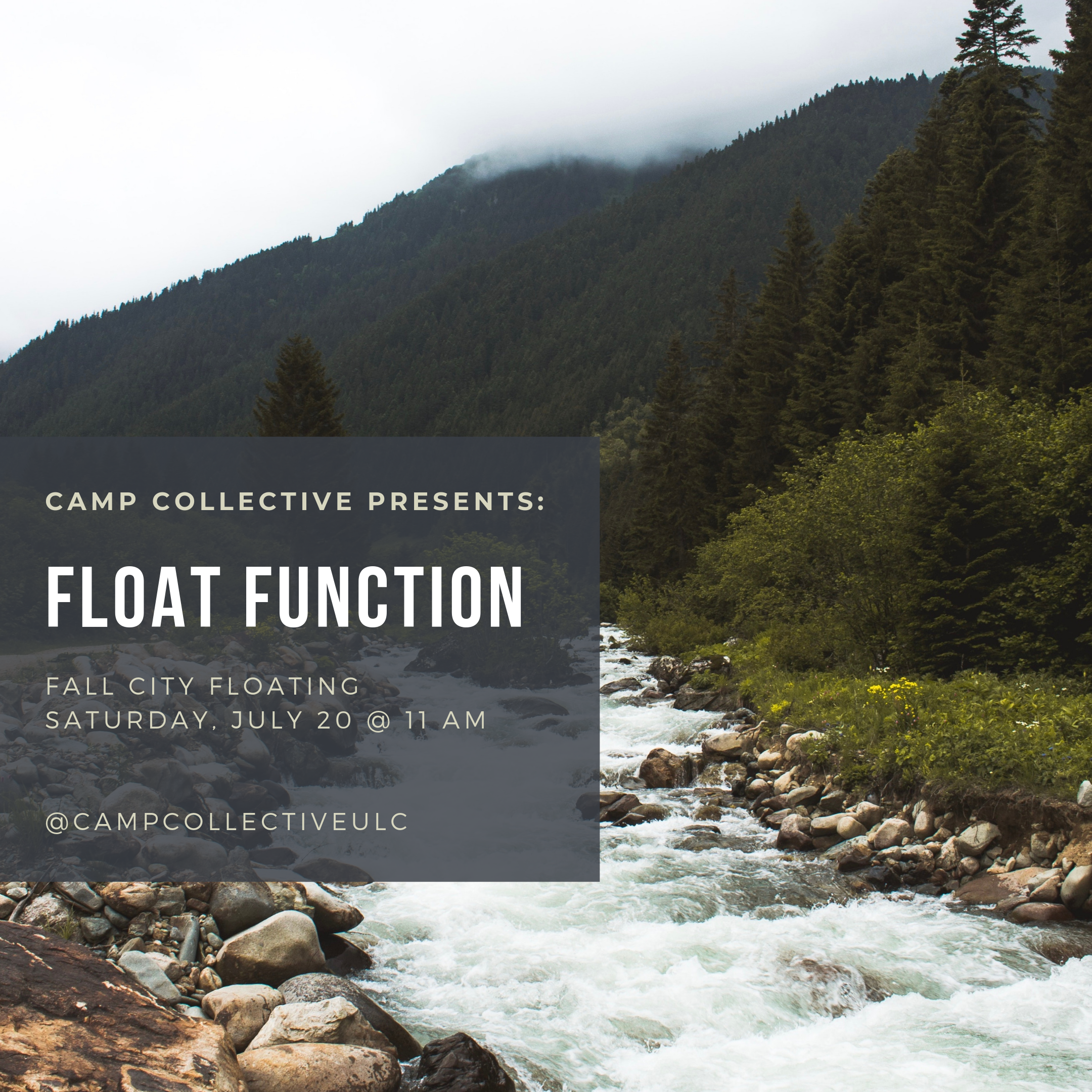 Float function_Original.PNG
