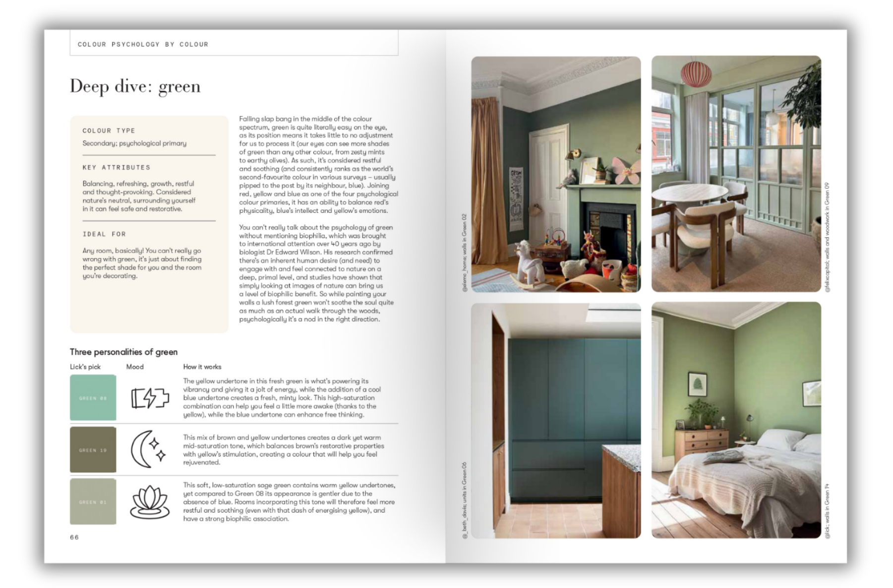 Master-the-Art-of-Colour-by-Tash-Bradley-of-Lick-Content-Production-Joanna-Thornhill-Deep-Dive-Green-P66-67-Web-Layout.png