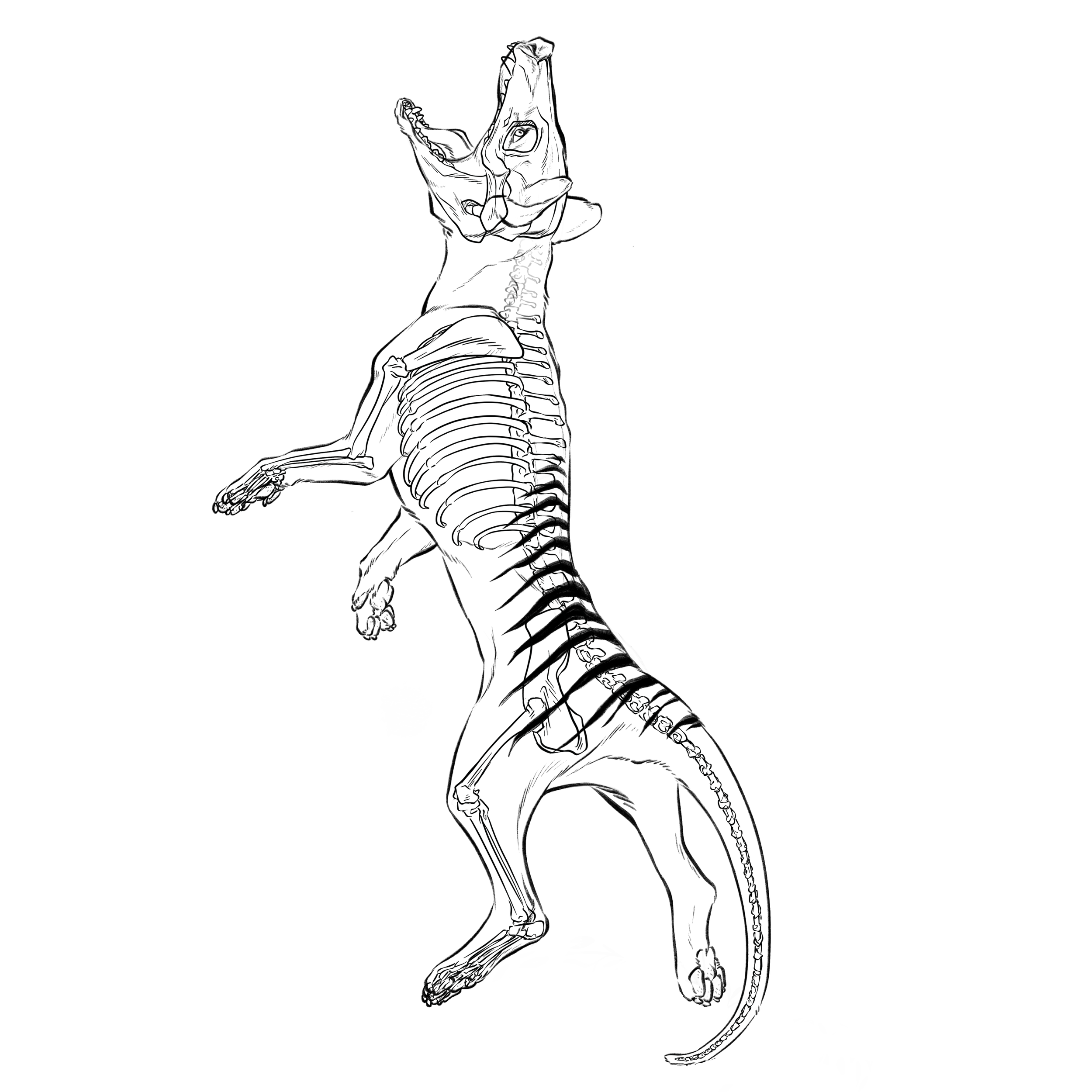 Untitled_Artwork.png