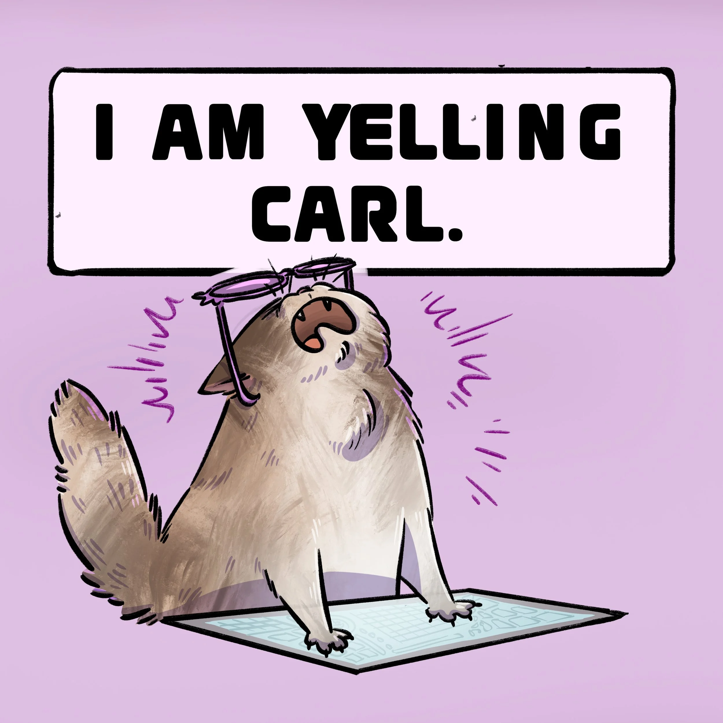 QueenanneChonk_individual1.jpg
