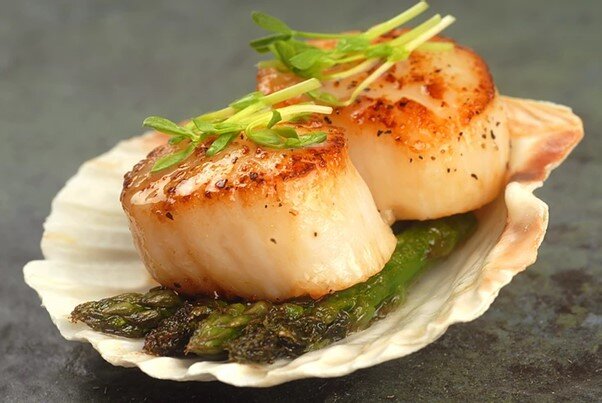 scallop 3.jpg