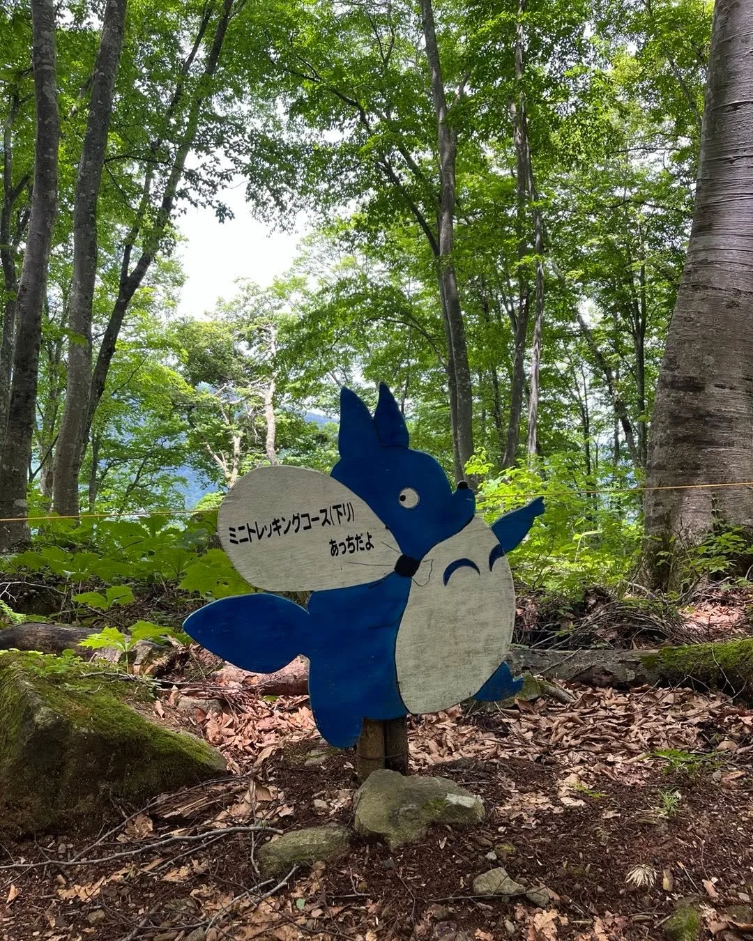 I got turned around in the woods today and it took me ages to realize that Totoro was showing me the way to the trail! I should have seen it sooner.
I&rsquo;ve lived in Japan for years and years, I study kawaii and specialize in Cute Studies. 
Yet, I