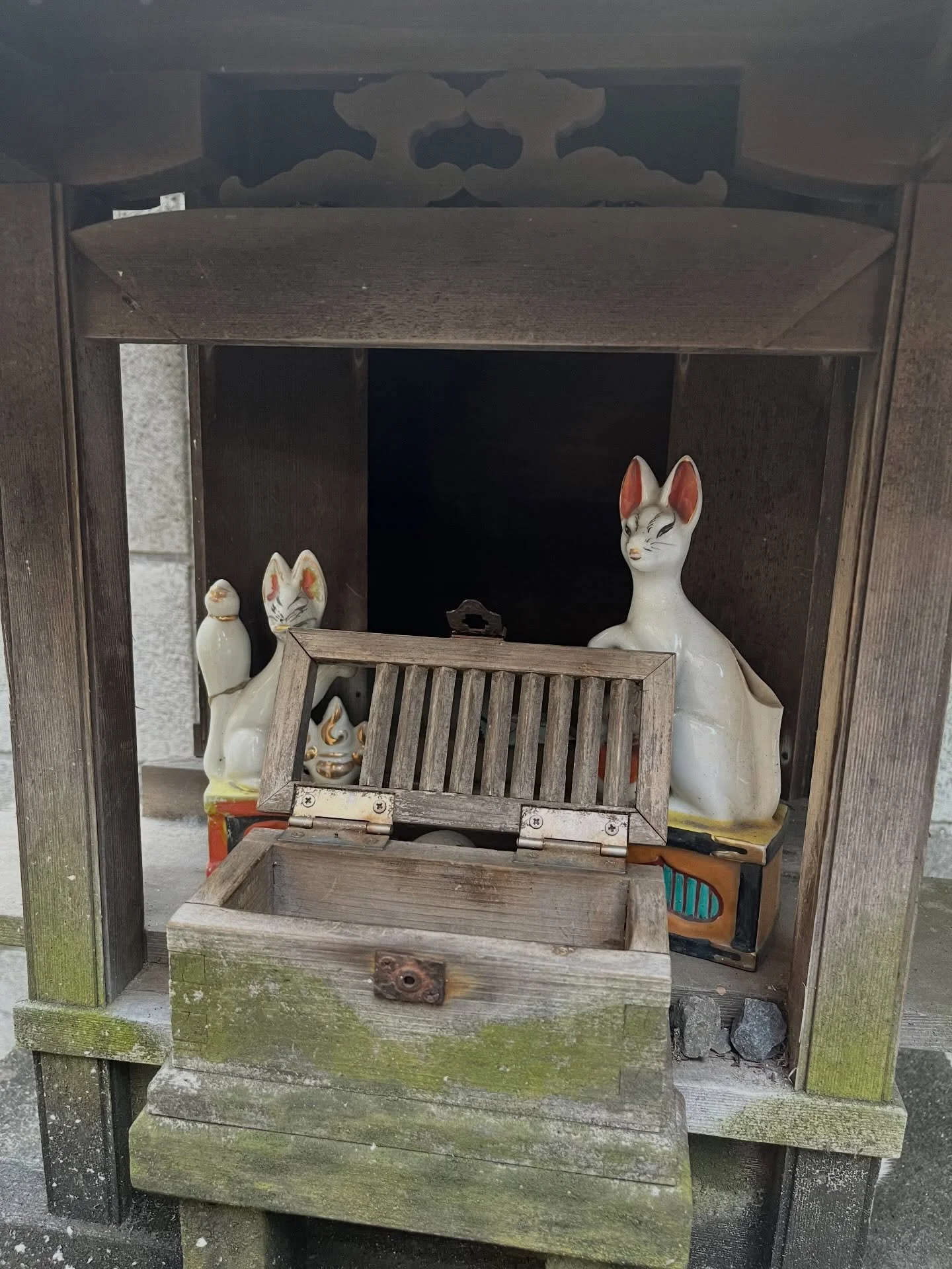 Guarding the sacred corners of Mejiro, Tokyo 🦊✨
Toss a coin into the box, make a wish, and let the kitsune do the rest. ⛩️
#kawaii #cute #cutestudies
