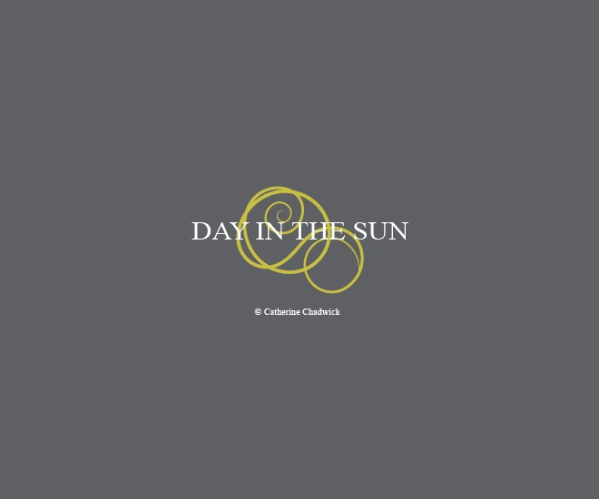 Day in the sun grey 1.png