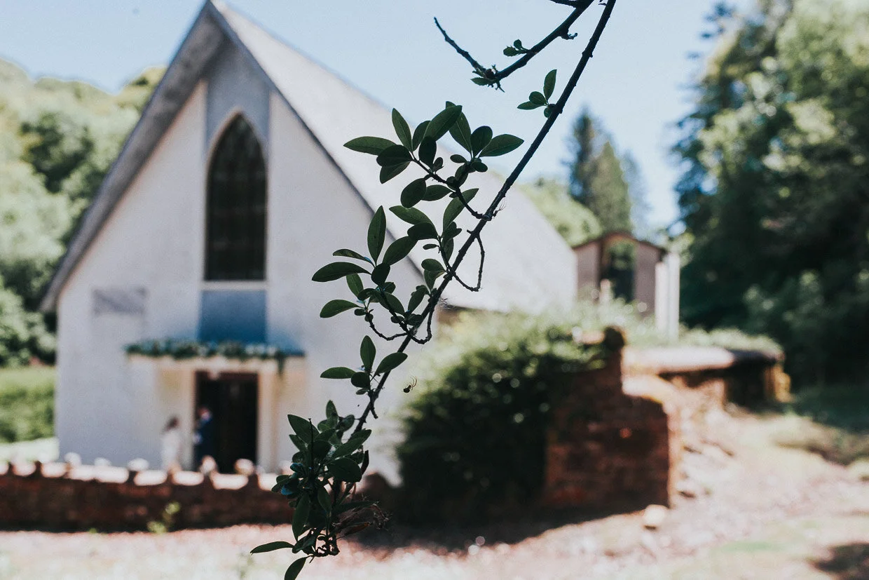 Blurred view of church from outside photographed behind branches from a tree on the Ballynatray Estate for a Cork Wedding