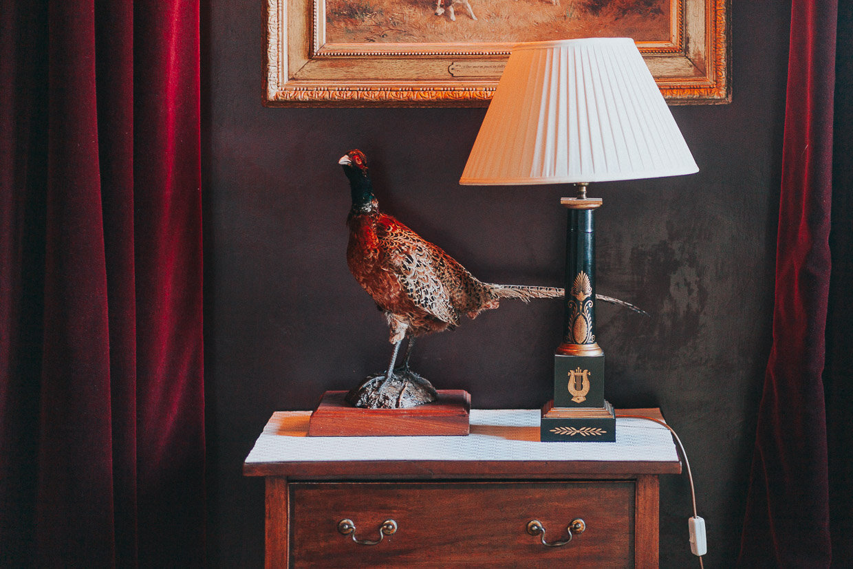 Stuffed Partridge with a lamp on a side table in the house on the Ballynatray Estate for a Cork Wedding