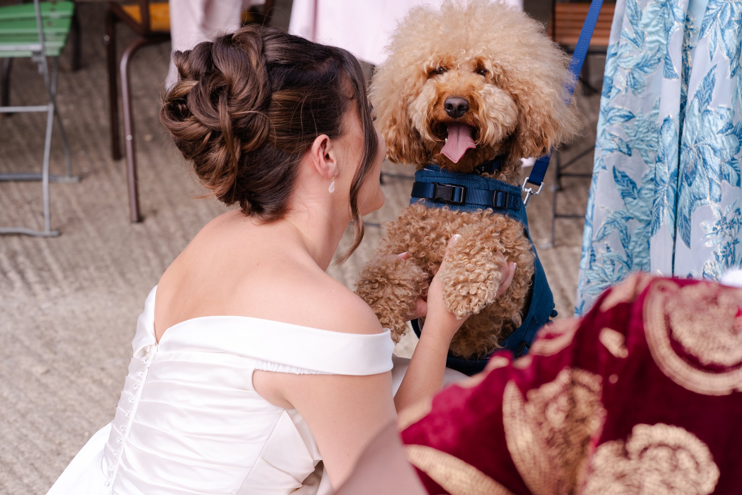 Bride crouch down holding her dogs paw while the dog is looking at the camera at a Worton Kitchen Garden, Oxfordshire Wedding.