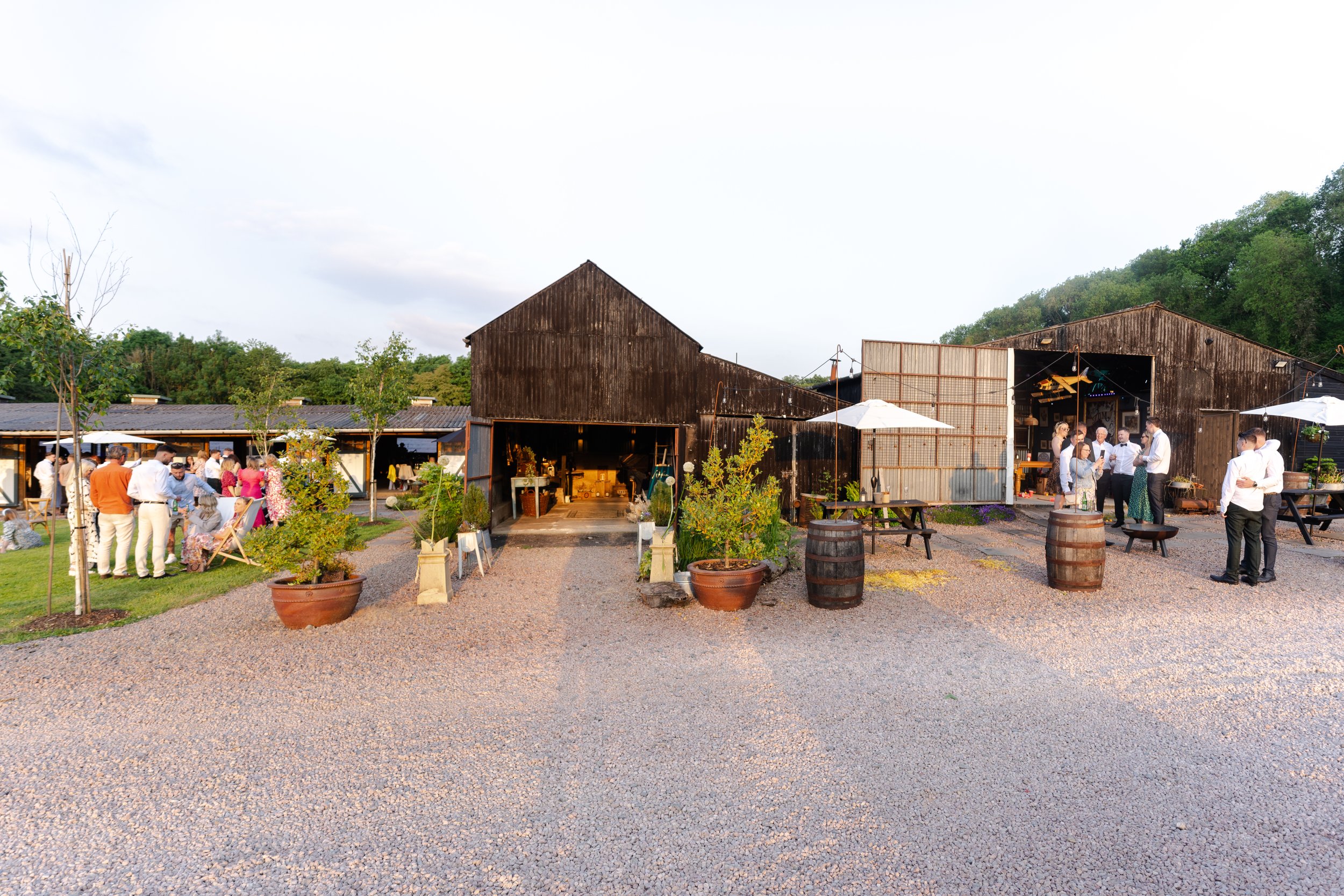 View of the barns with the sun shining in the early evening at a rhyse farm wedding