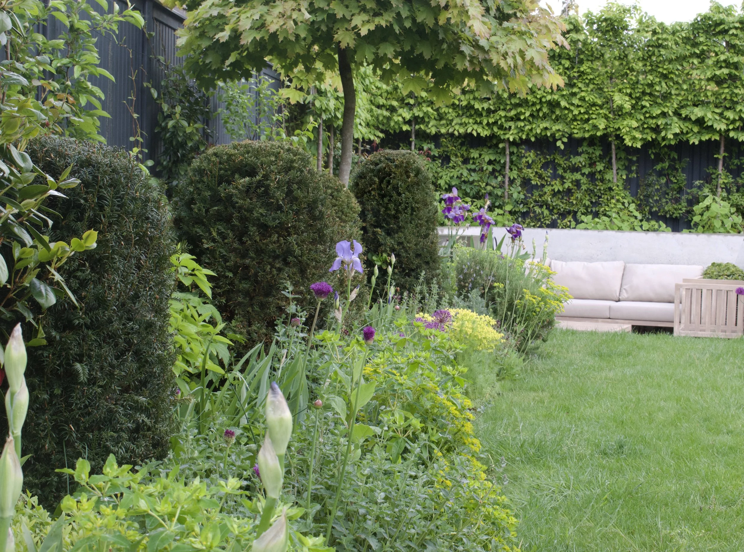 MOLESEY FAMILY GARDEN Pollyanna Wilkinson Garden Design