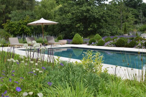 SURREY POOL GARDEN | Pollyanna Wilkinson Garden Design