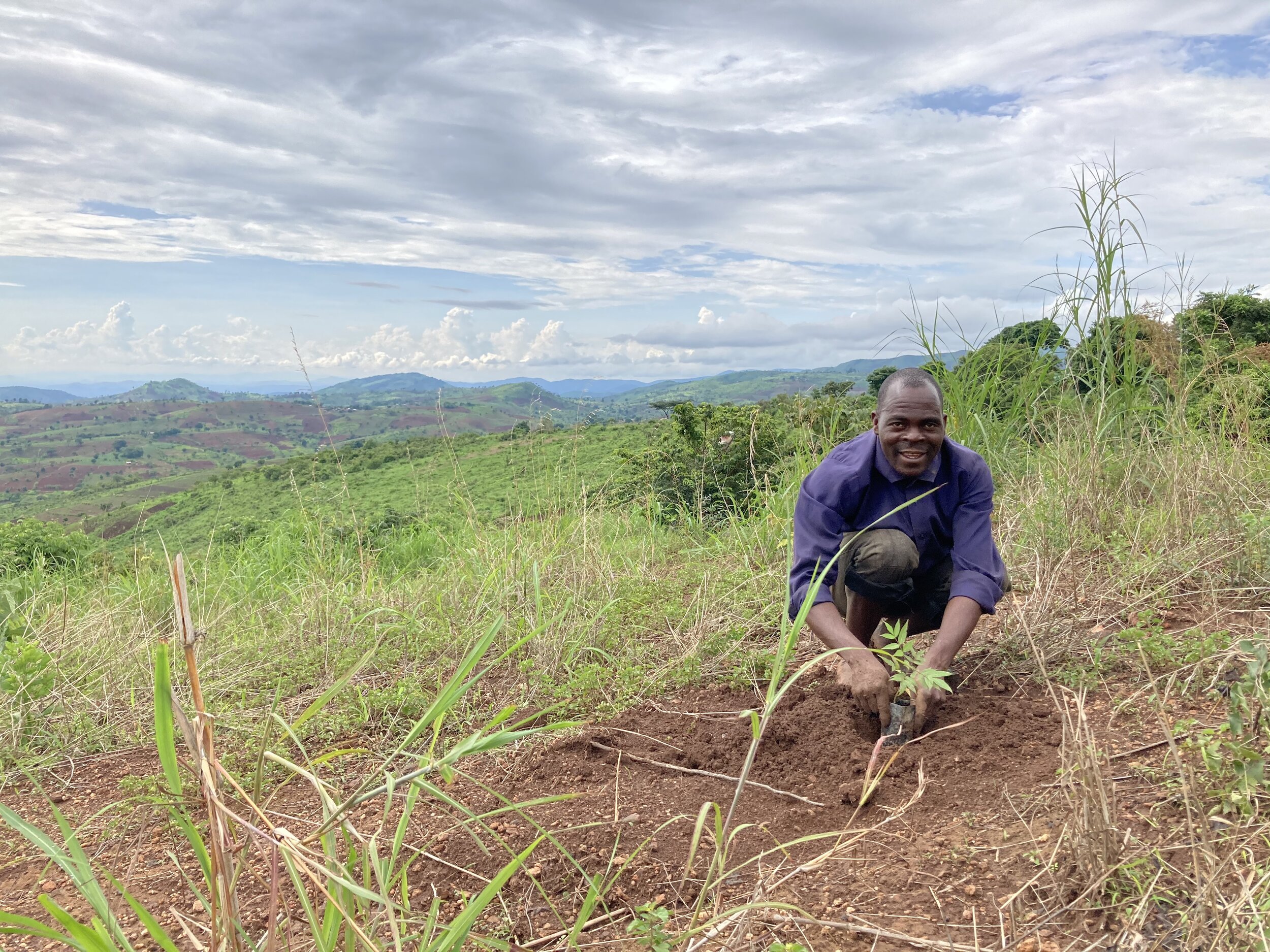 Tree Planting 3.JPG