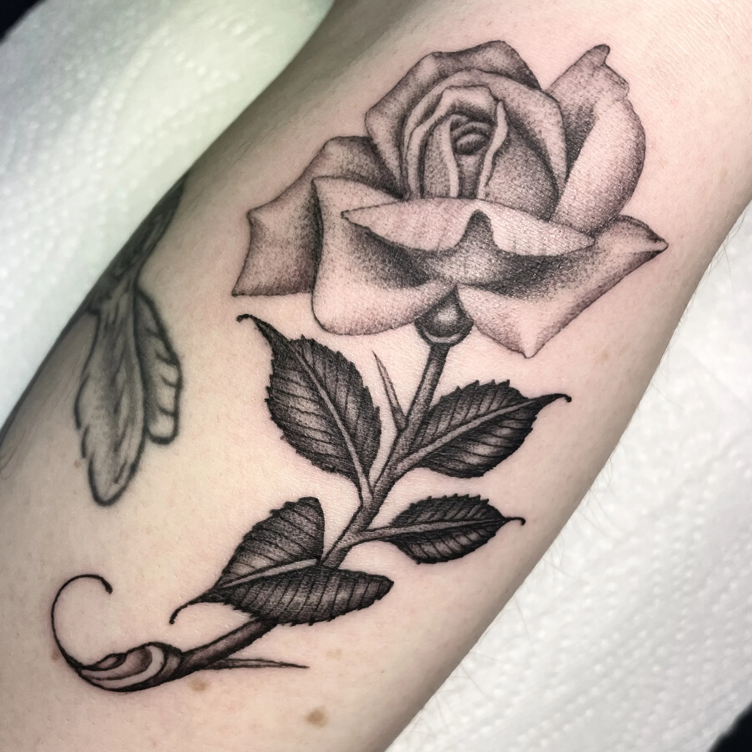 Black and gray rose tattoo on arm