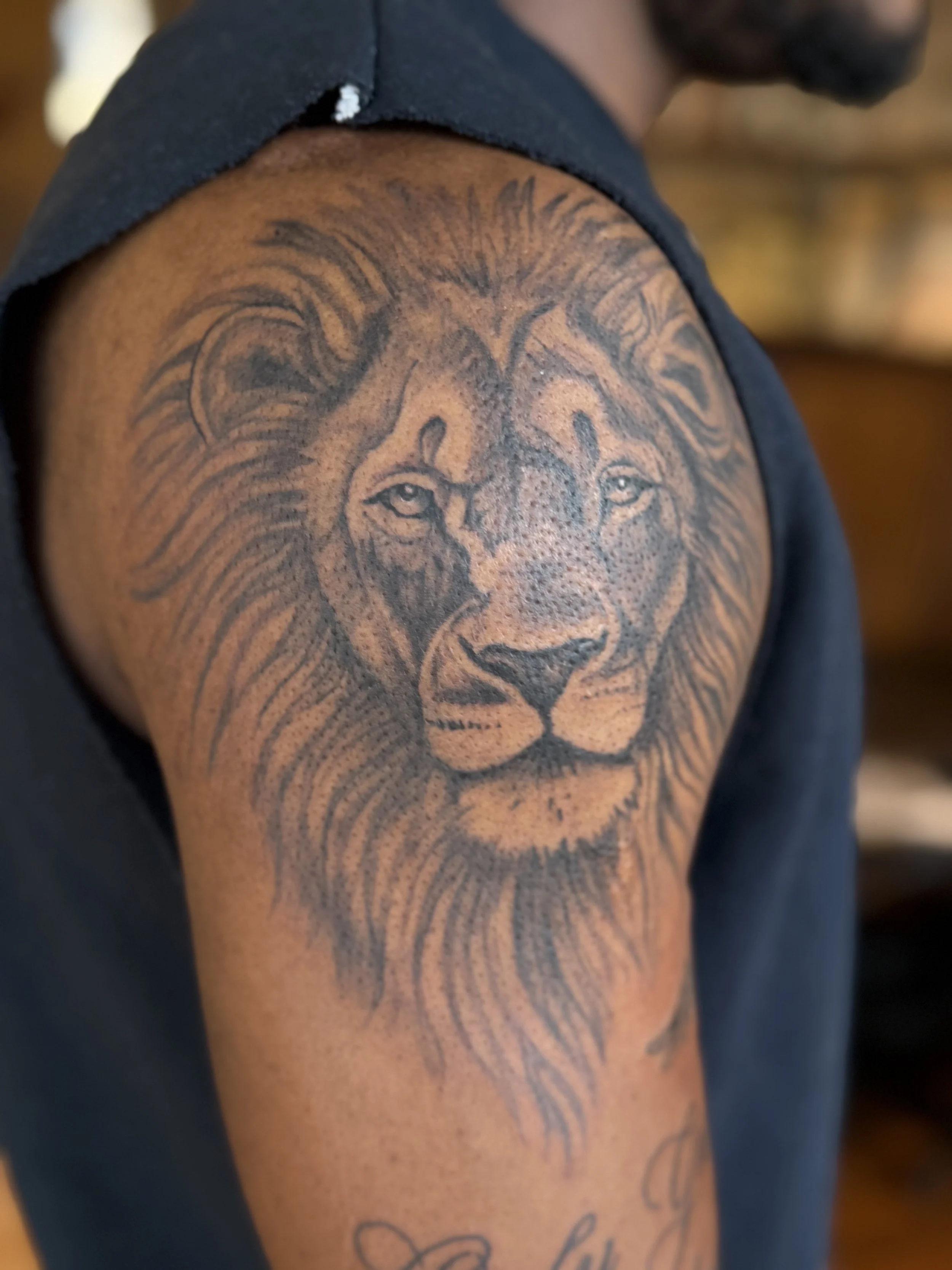 Black and Grey, Lion Head