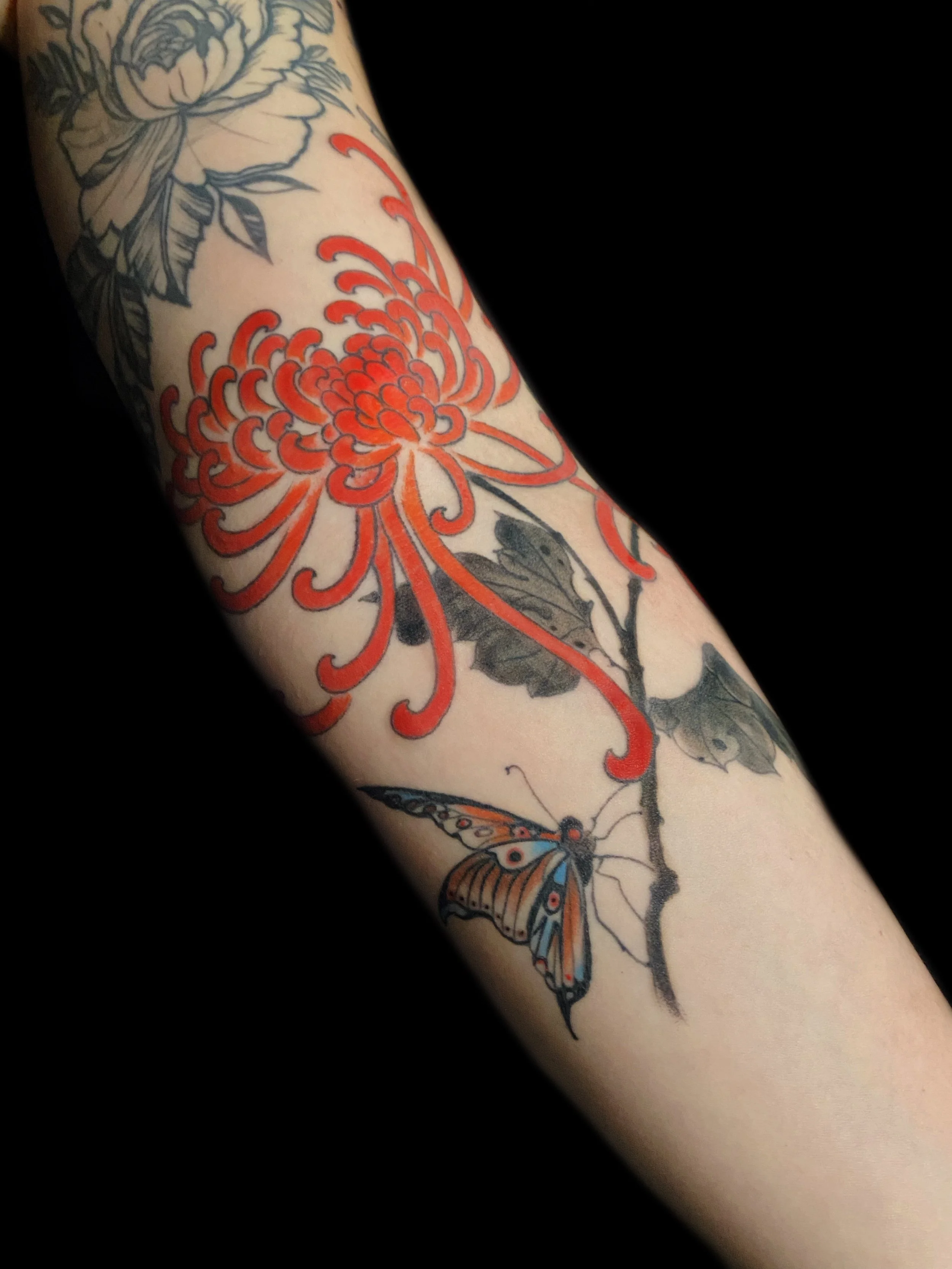 Tattoo of a red chrysanthemum, butterfly, and black and white flower on arm.
