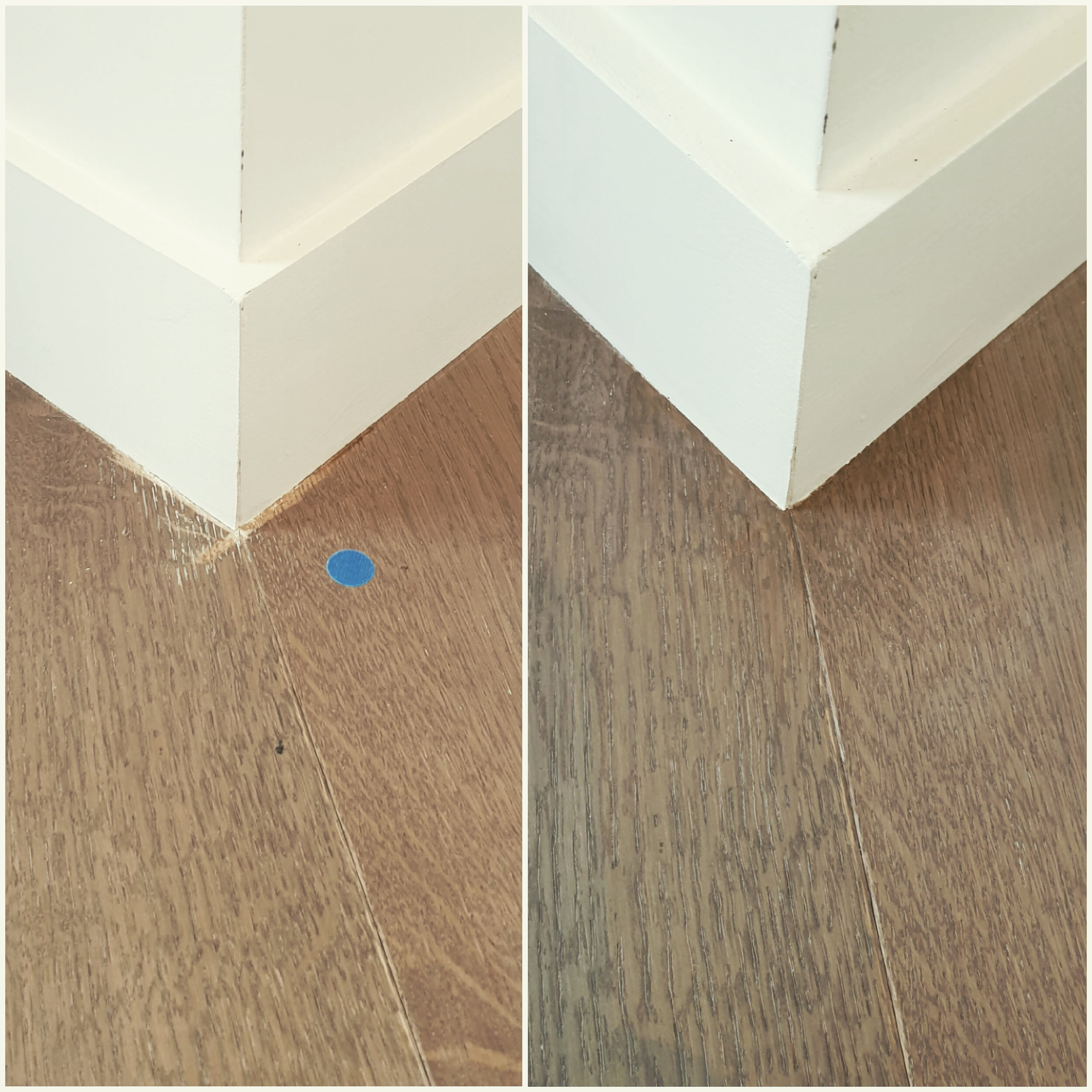Floor repair auckland