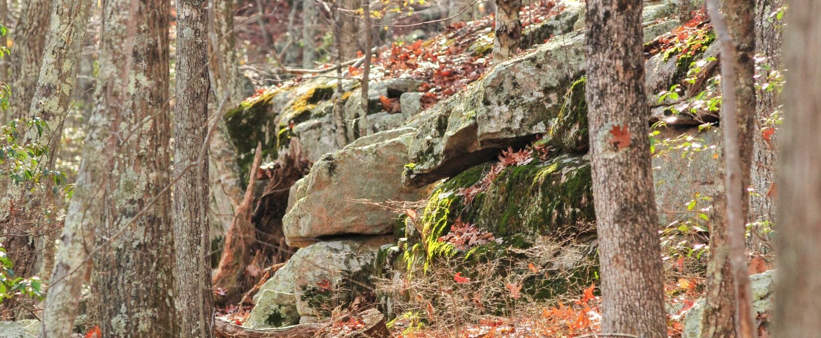 Niantic River.jpg