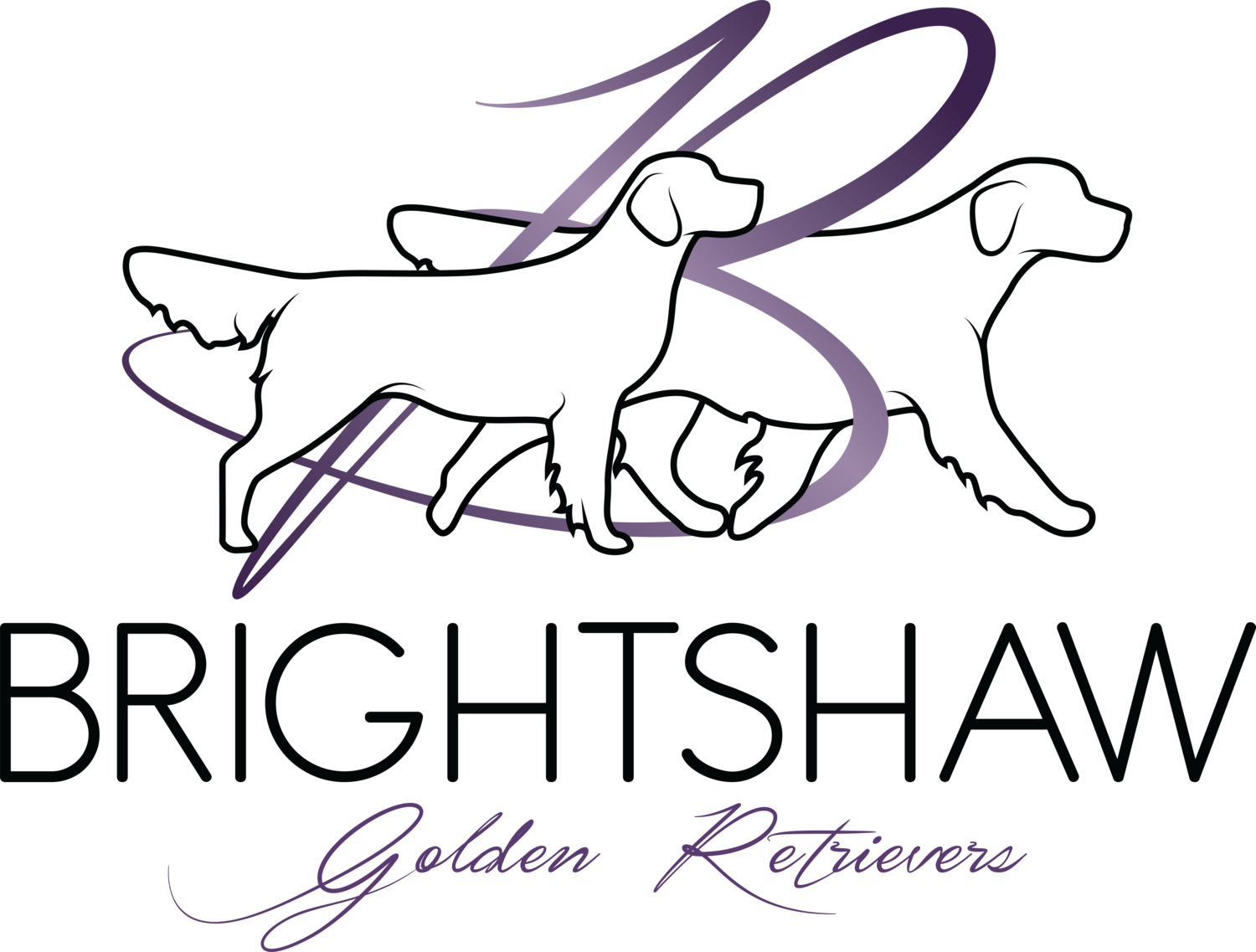Brightshaw Golden Retrievers 
