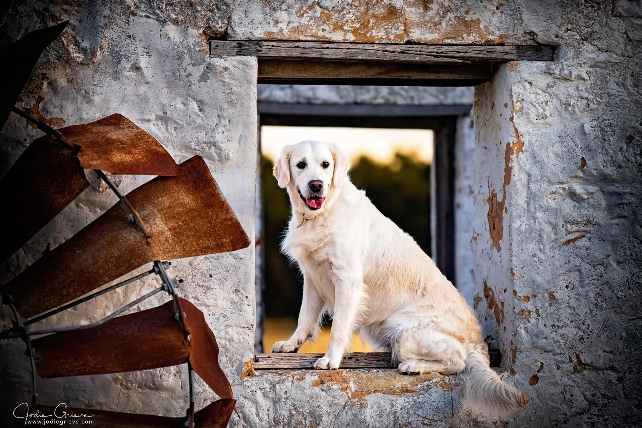 skye jodie shoot window.jpg