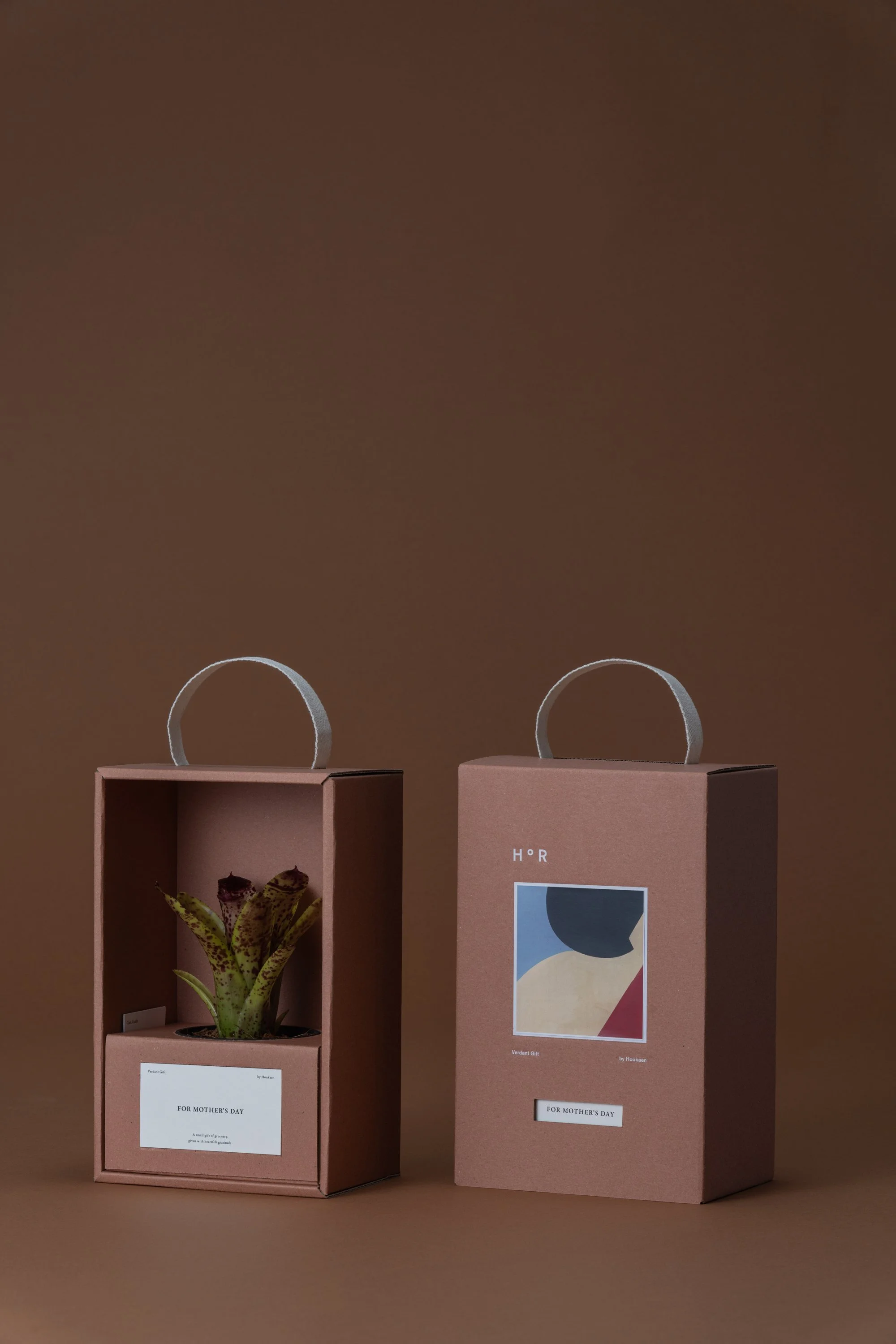 Hor Plants Gift