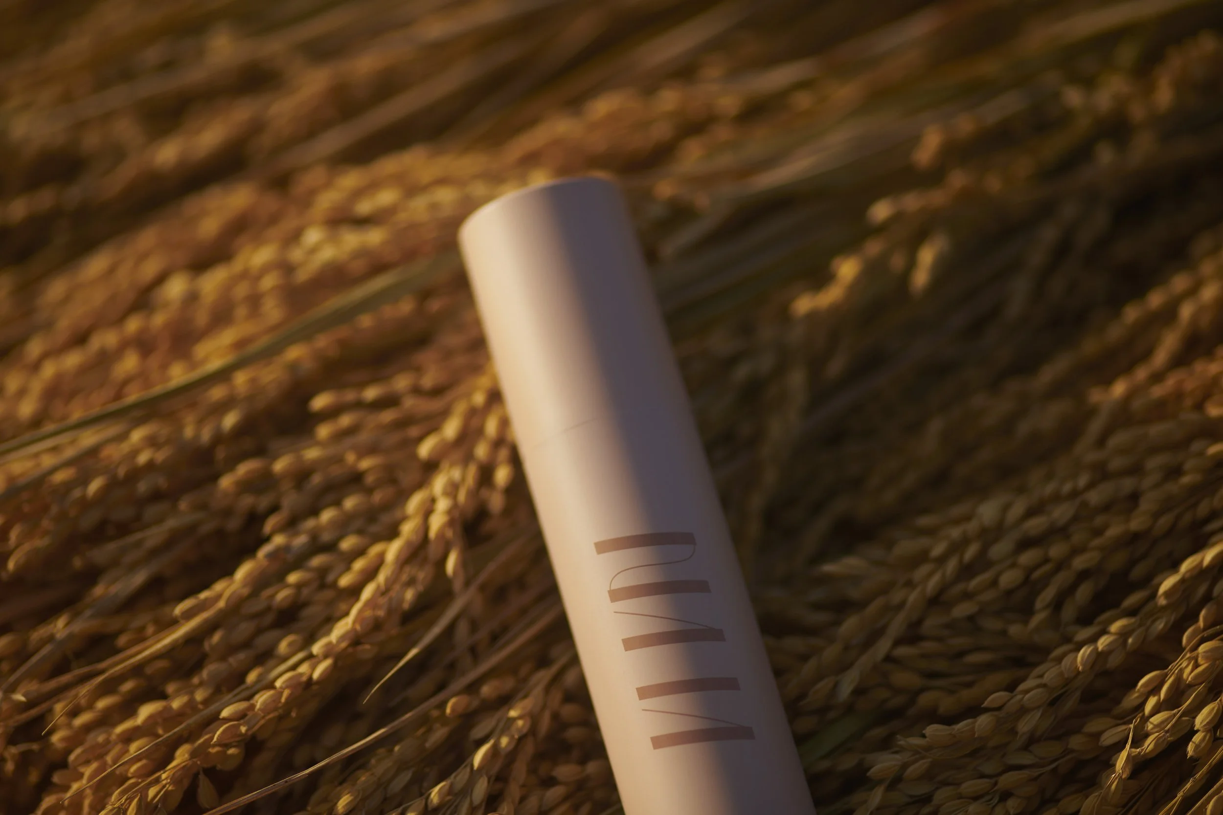 250124_NAIA_jpg (2).jpg