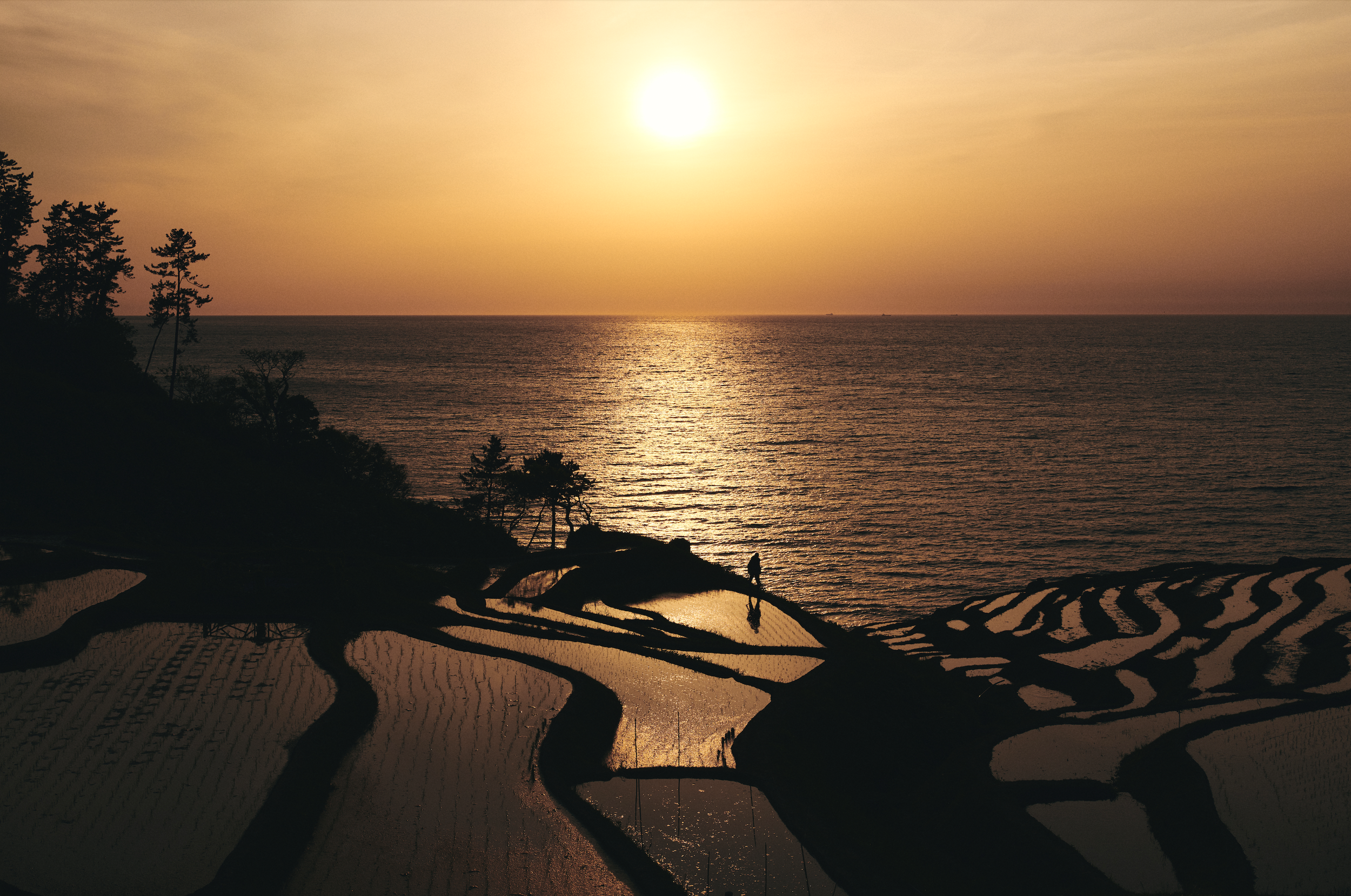 スクリーンショット 2025-12-17 16.19.57.png