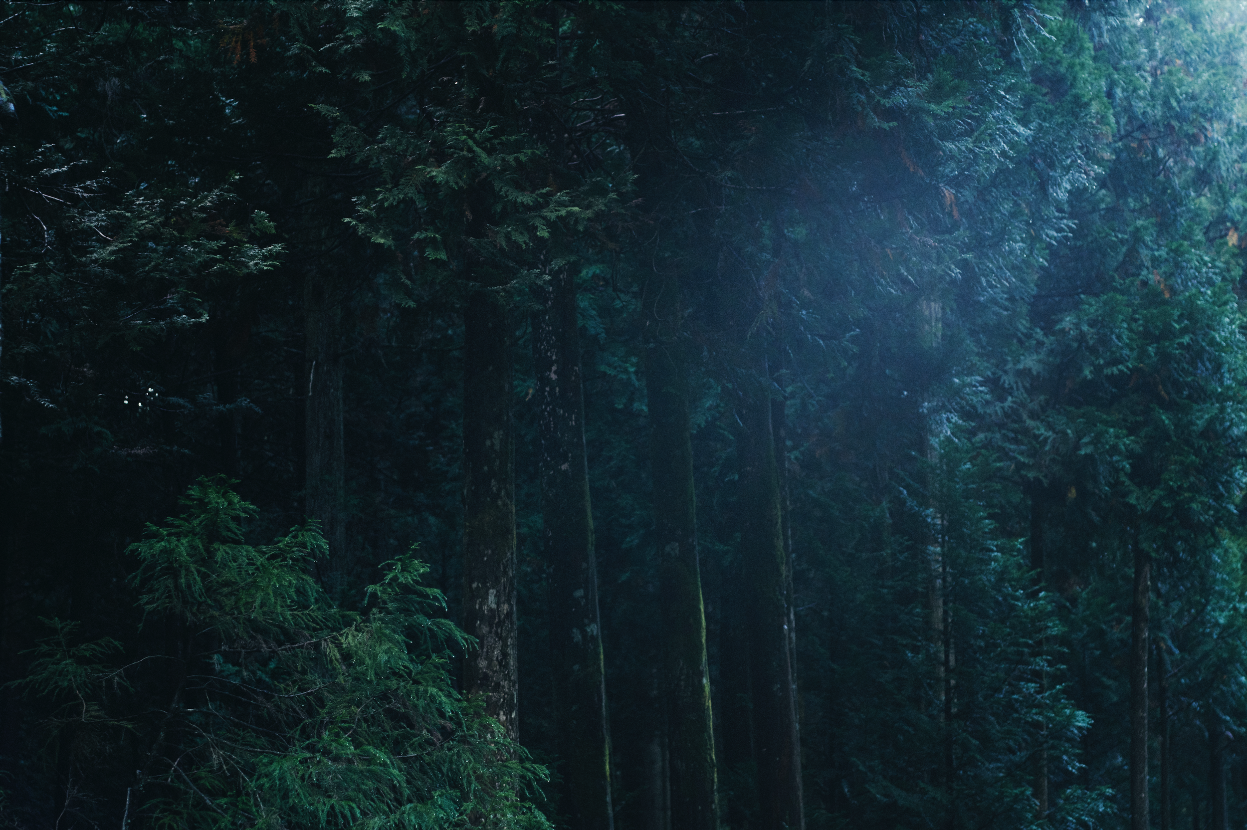 スクリーンショット 2025-12-17 16.20.17.png