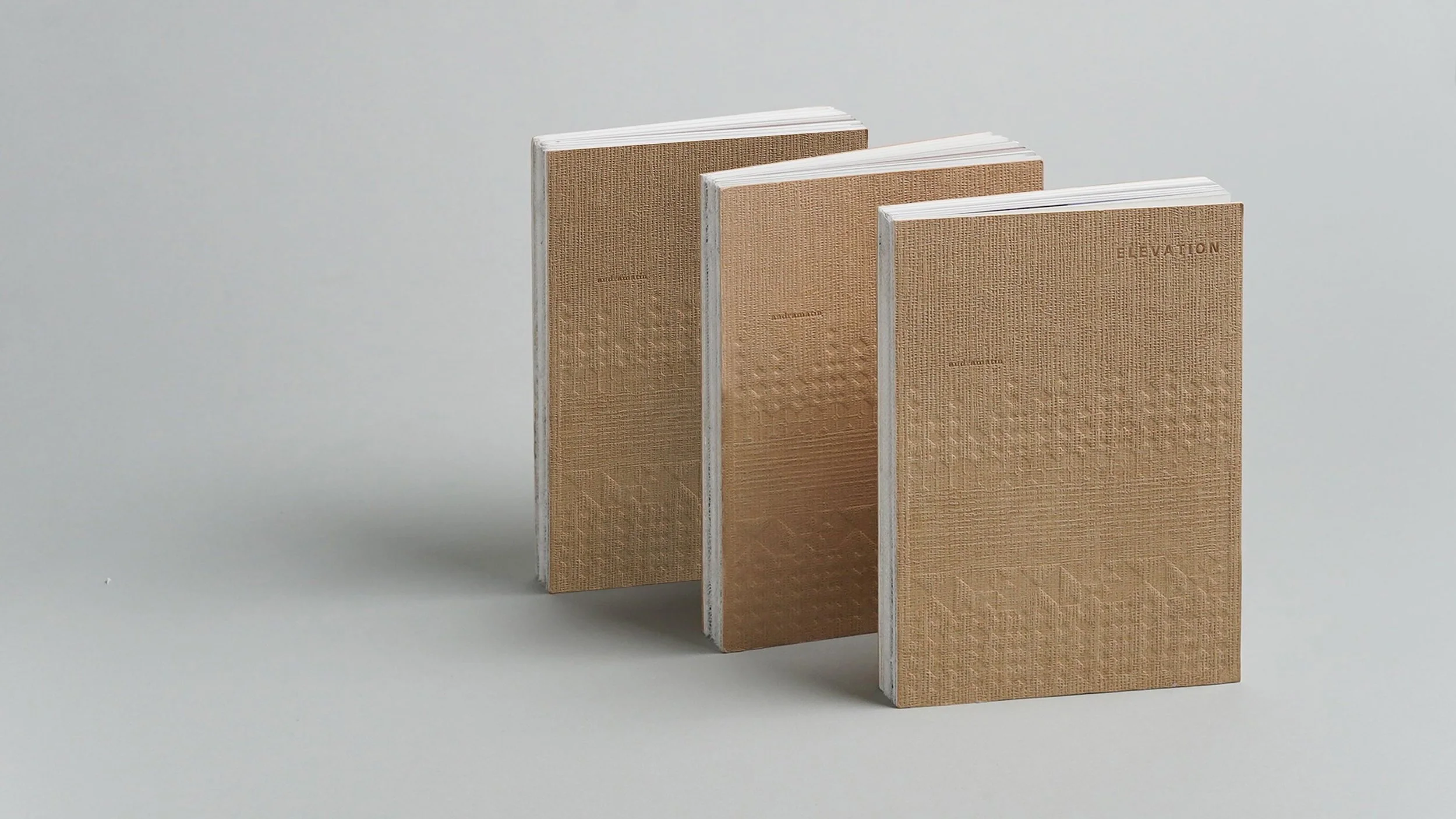 ANDRA MATIN VENICE BIENNALE.jpg