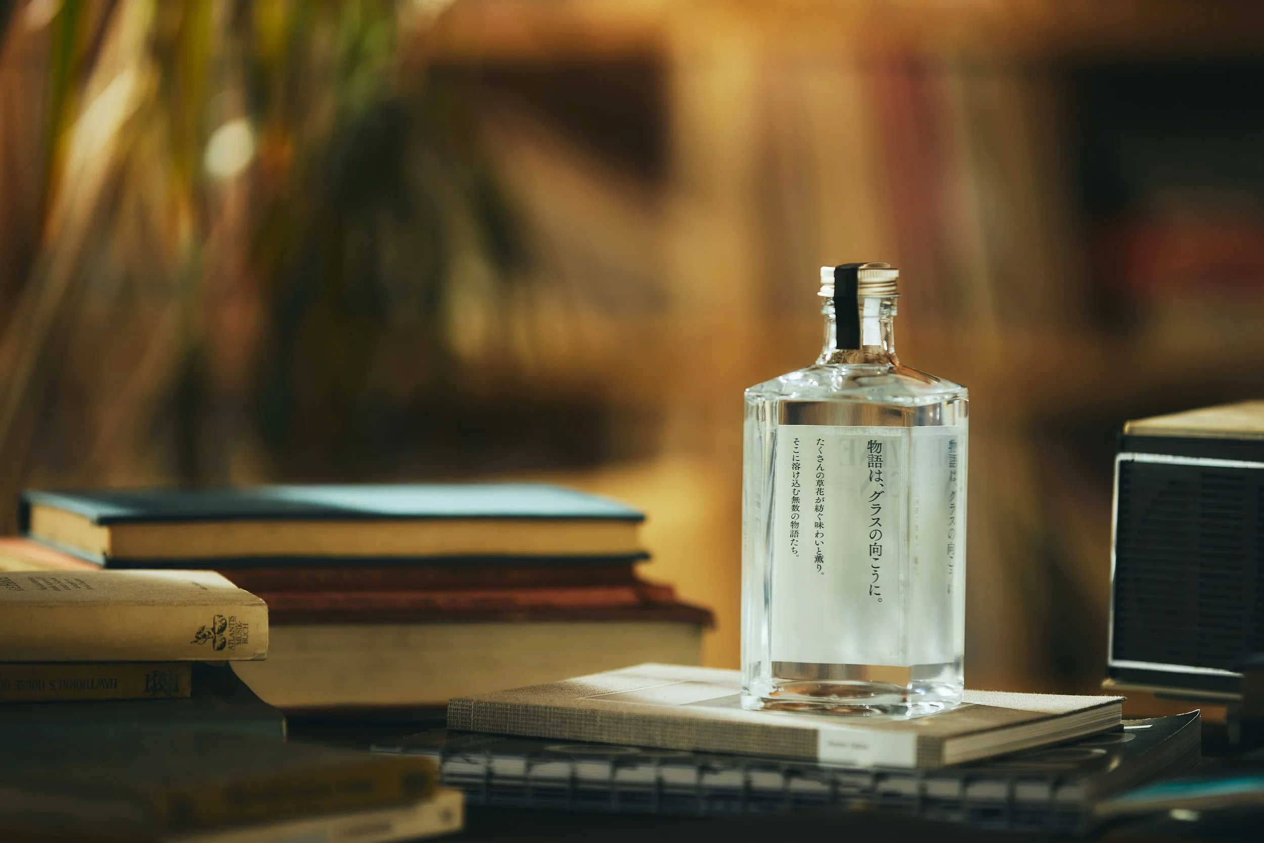 03.zinegin8510 copy.jpg