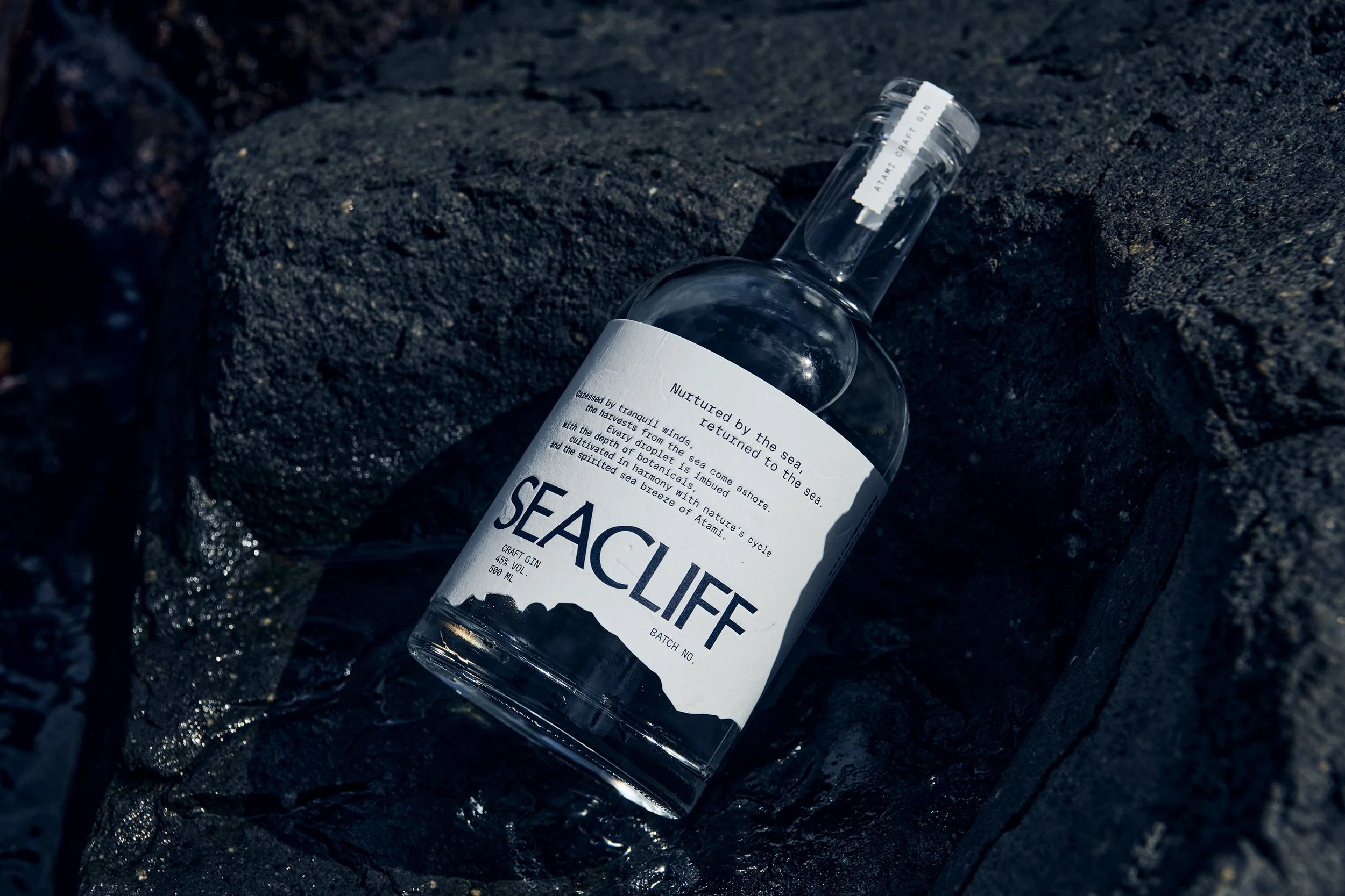 SEACLIFF_03.jpg