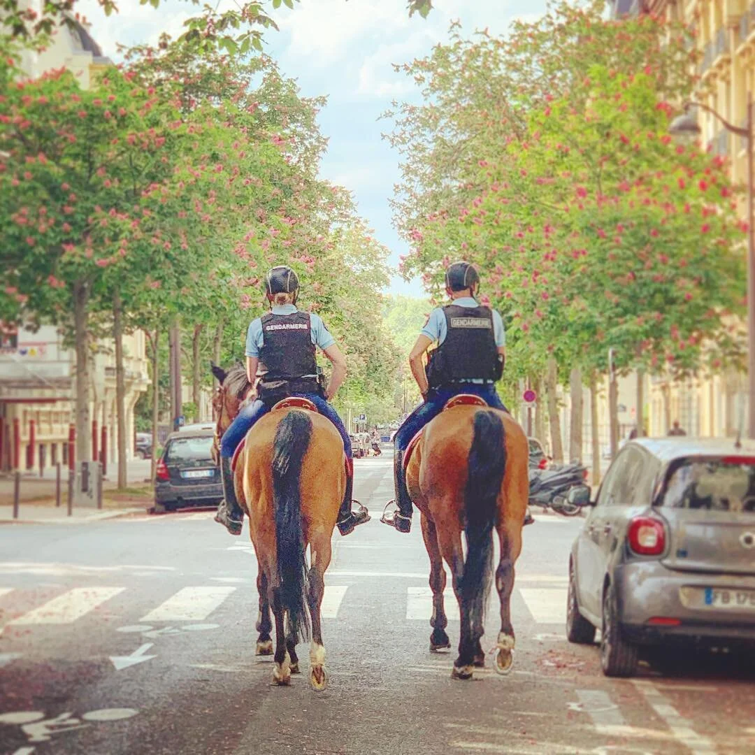 38 Days Later
Patrolling Paris&rsquo;s empty streets.