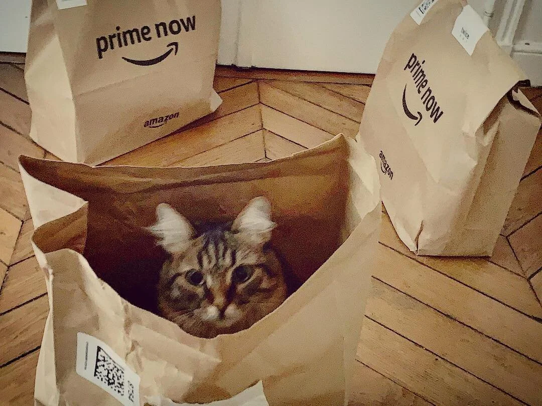 You can get anything on Amazon nowadays!
#catsofinstagram #catinabag #amazonprime