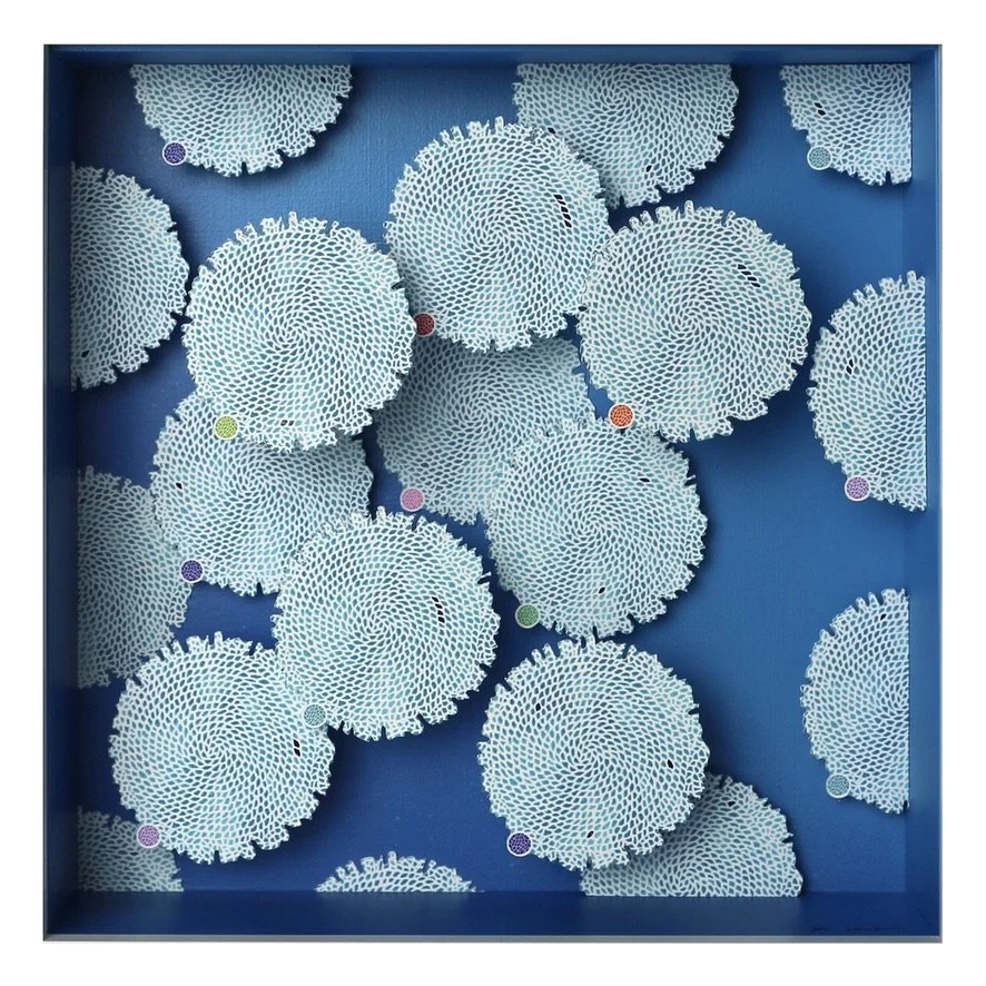 Mini CHUO Reef Fade Up 8