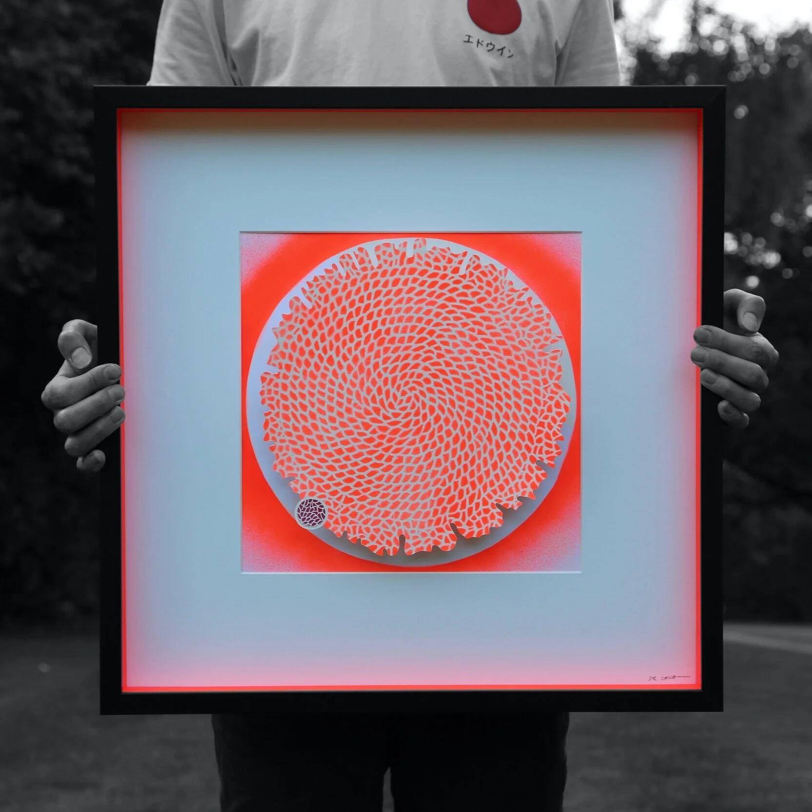 Fluoro Red Hanzomon Purple Dot