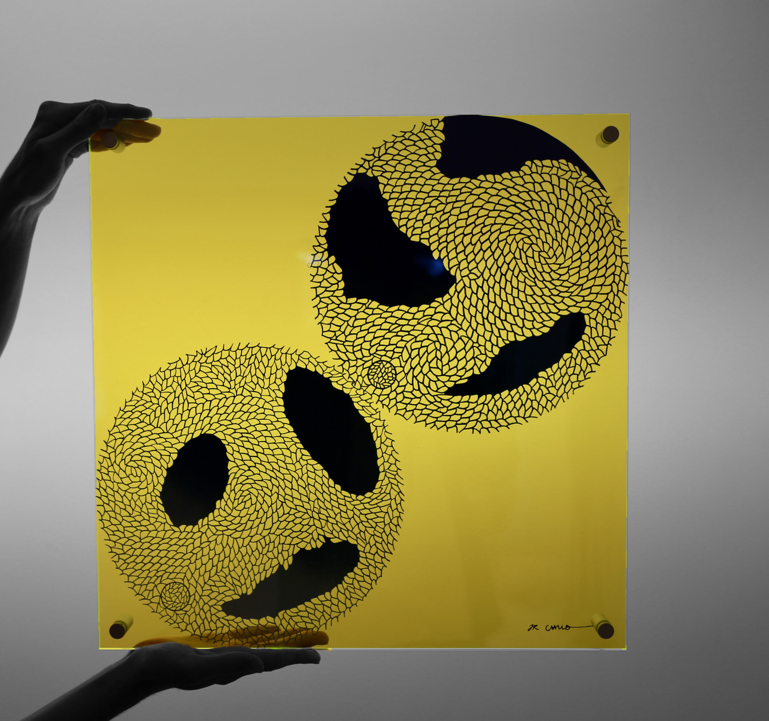 two faced.jpeg