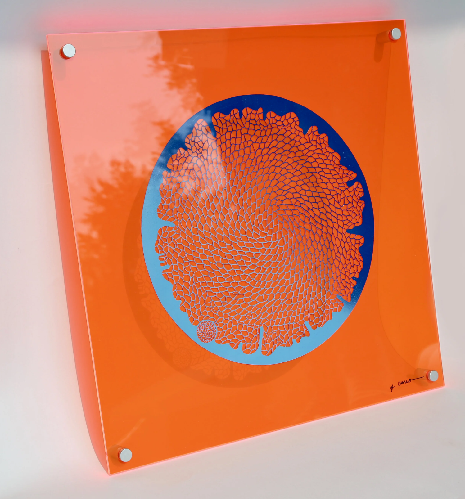 Screenshot 2026-01-12 at 00.42.23.png